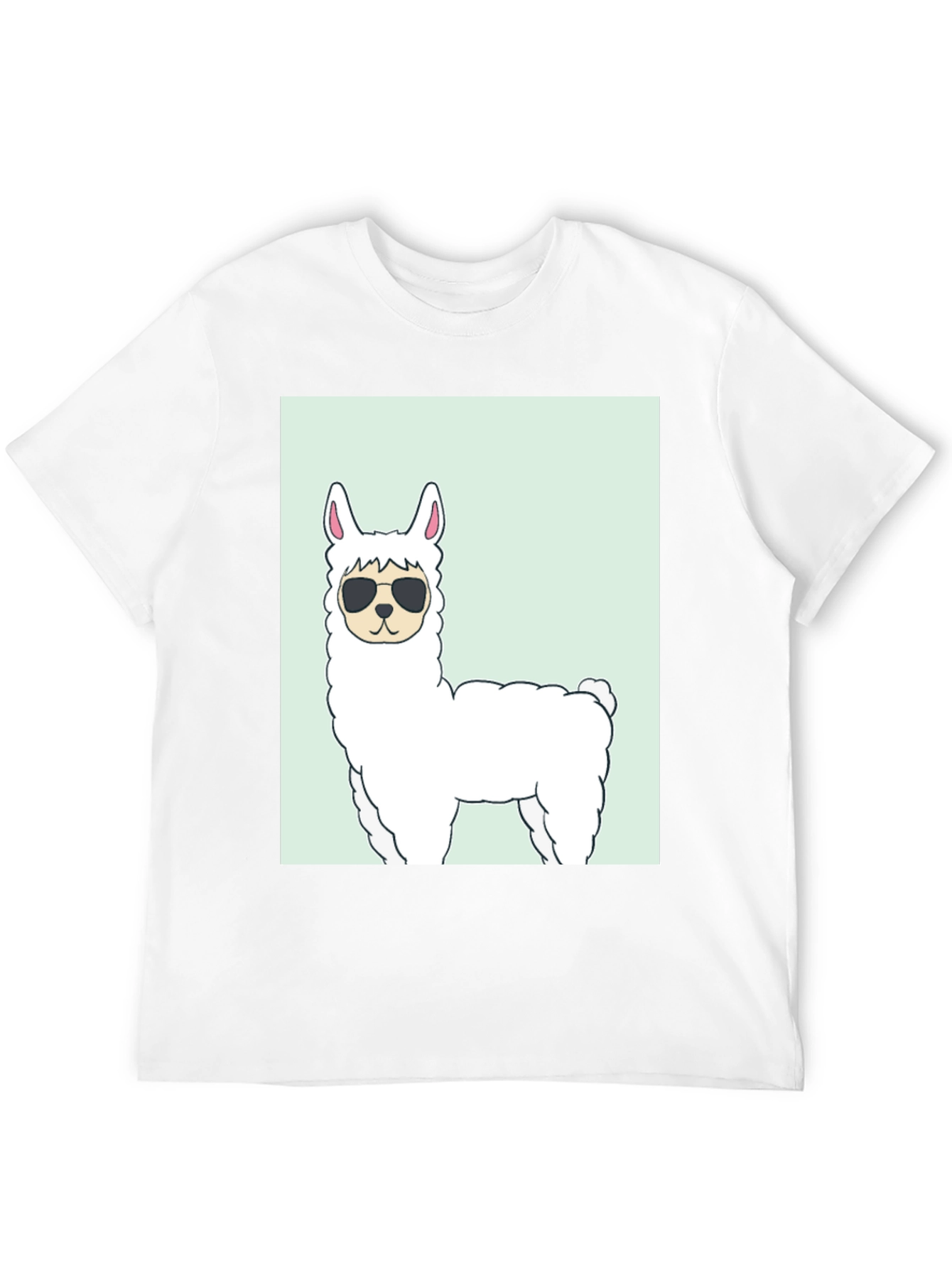 Black Cool Llama Graphic T-Shirt - Black view 12