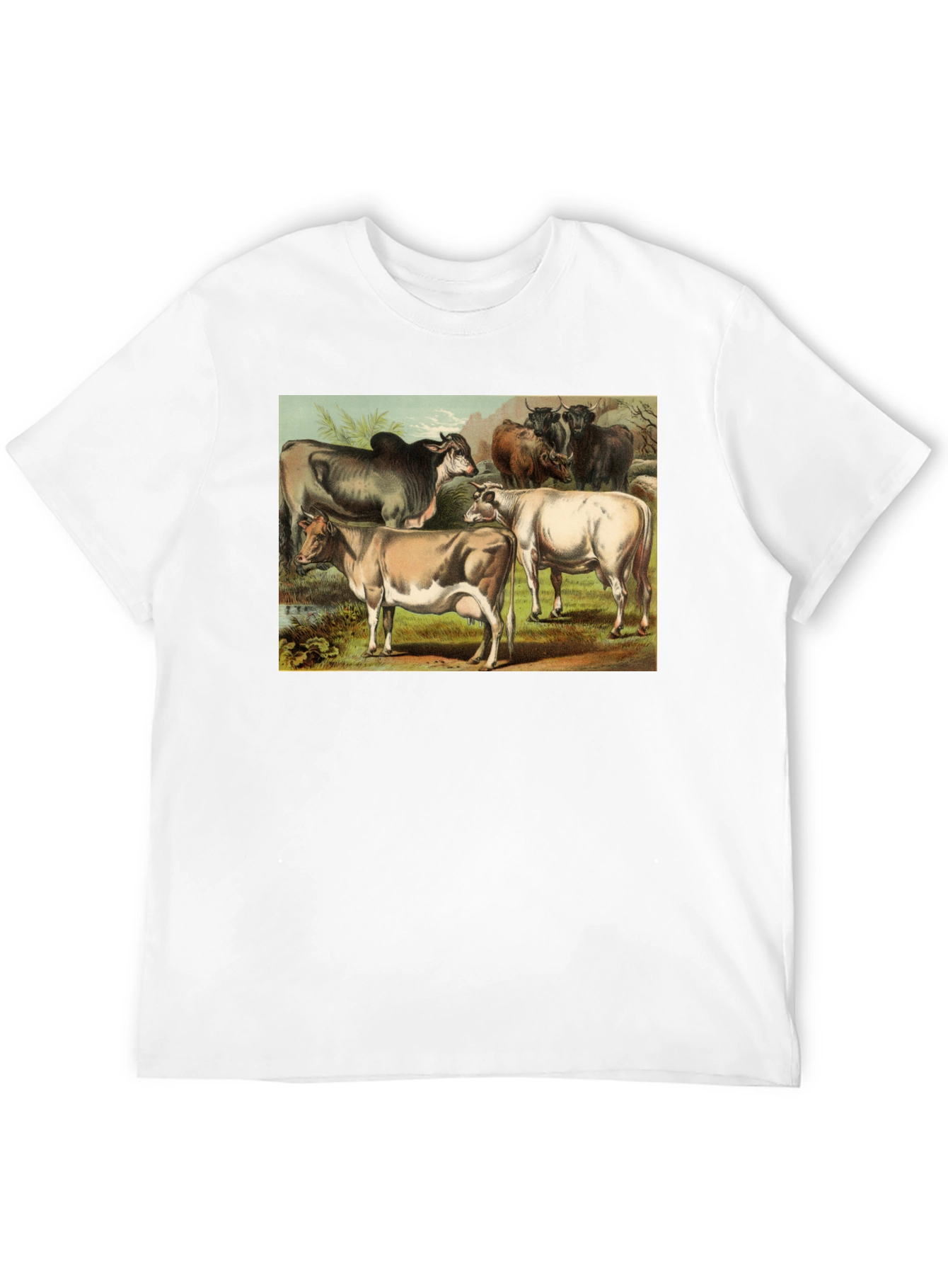 Black Vintage Cows Graphic Black T-Shirt view 12