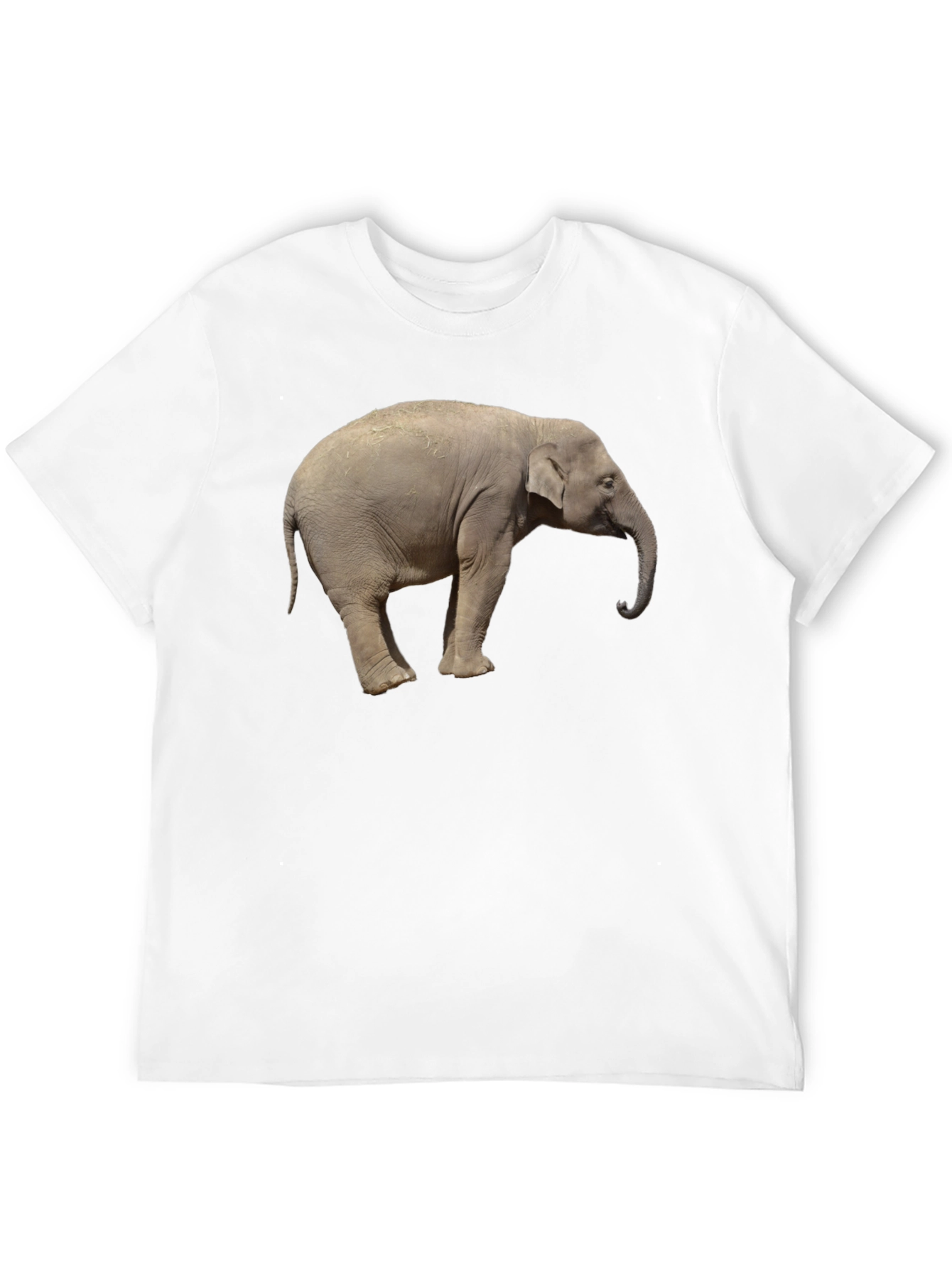 Black Elephant Graphic Tee - Cool Animal Print T-Shirt view 12