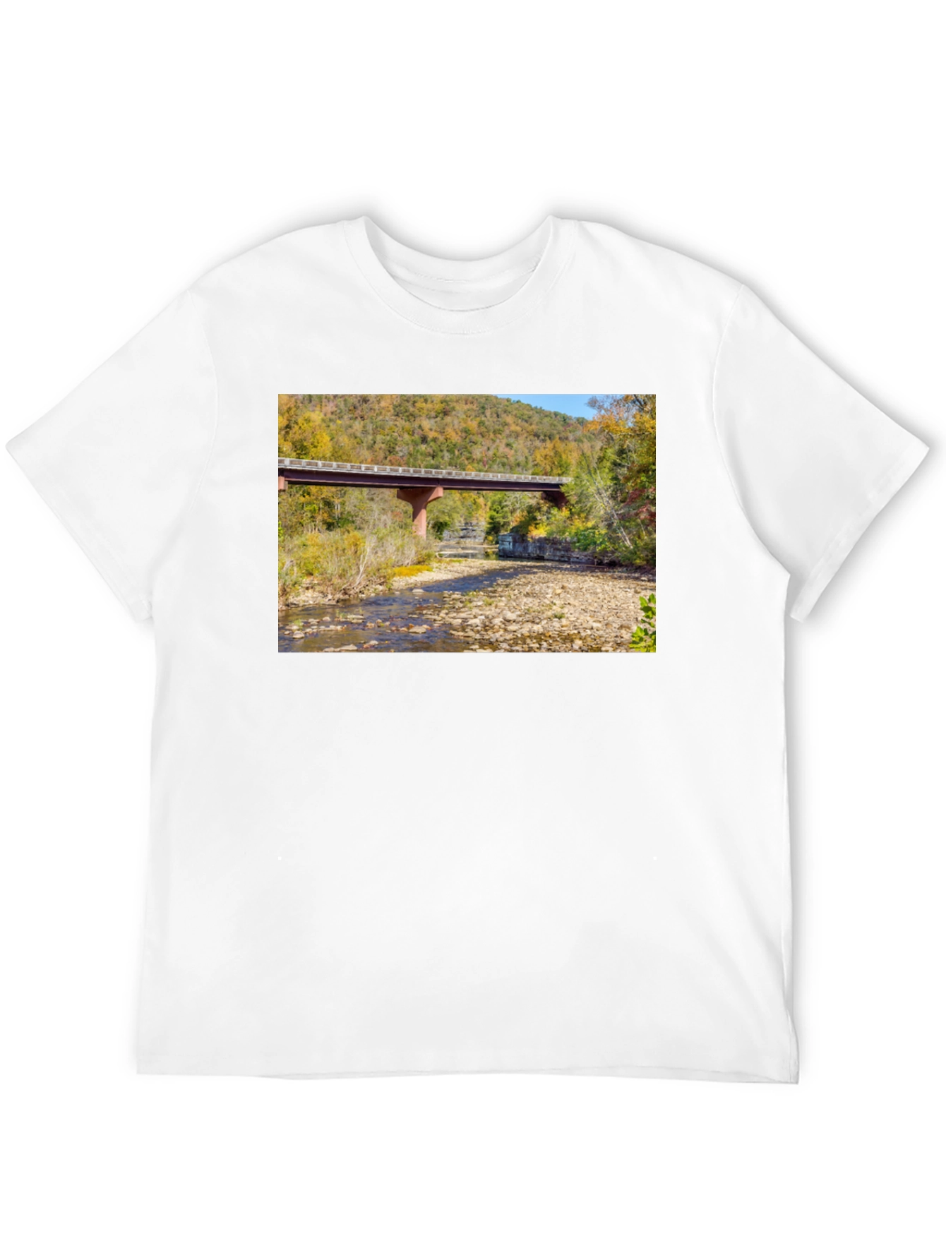 Black Nature Bridge Graphic Tee - Black Cotton Blend view 12