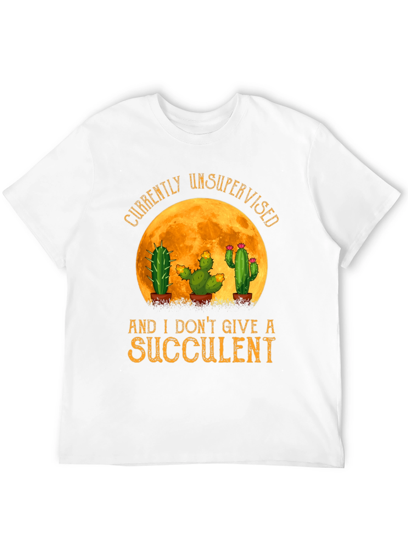 Black Unsupervised Succulent Cactus T-Shirt view 12