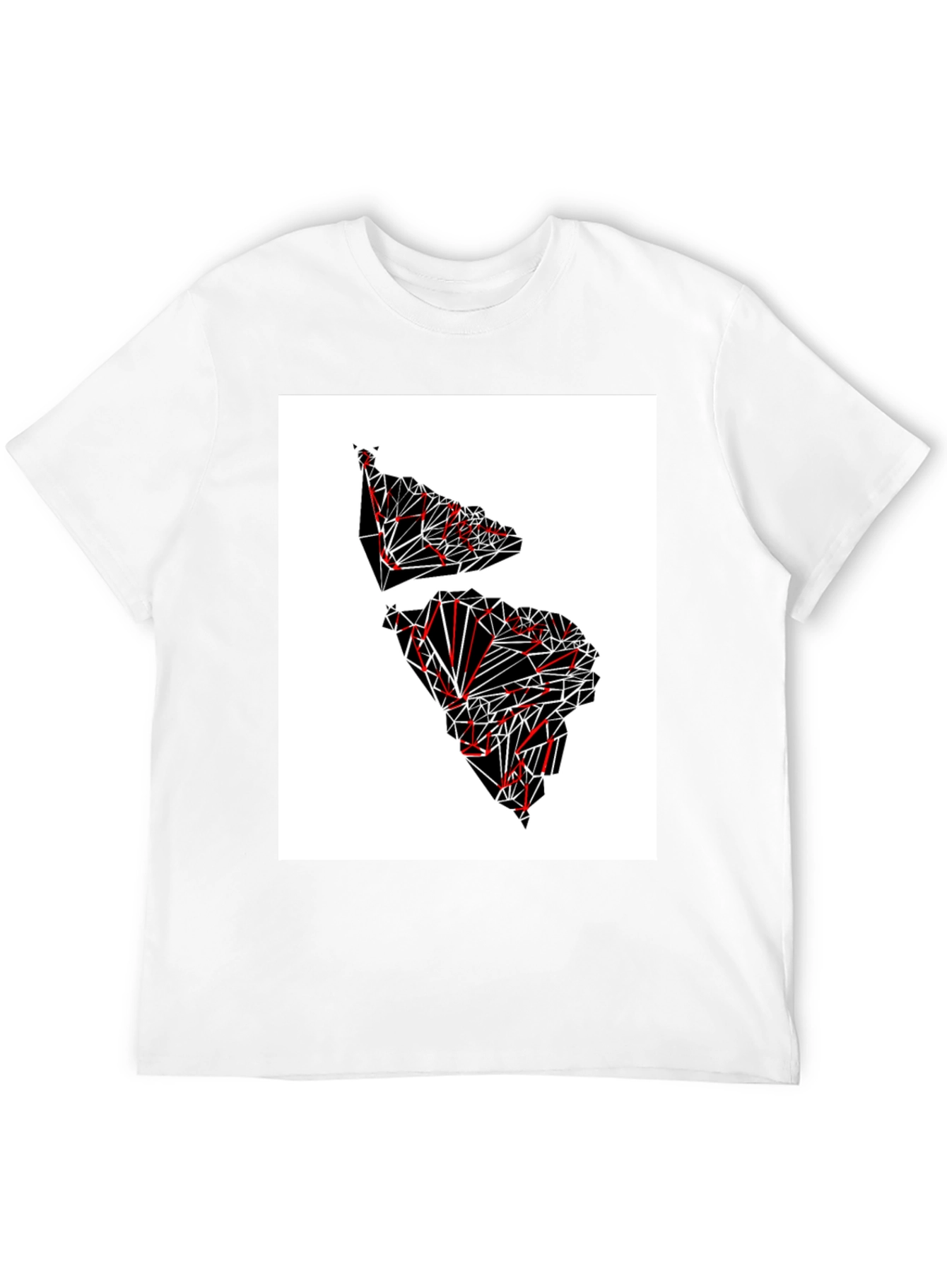 Black Geometric Continent Graphic Tee - Black view 12