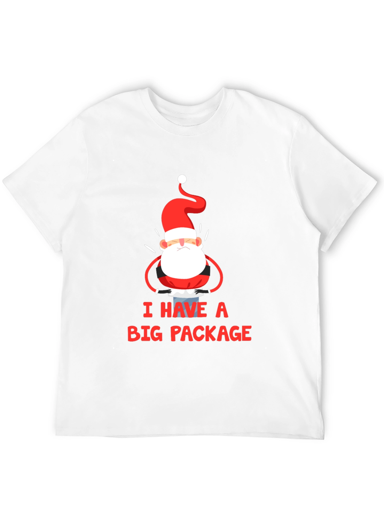 Black I Have a Big Package Graphic Tee Santa Christmas Holiday Shirt view 12