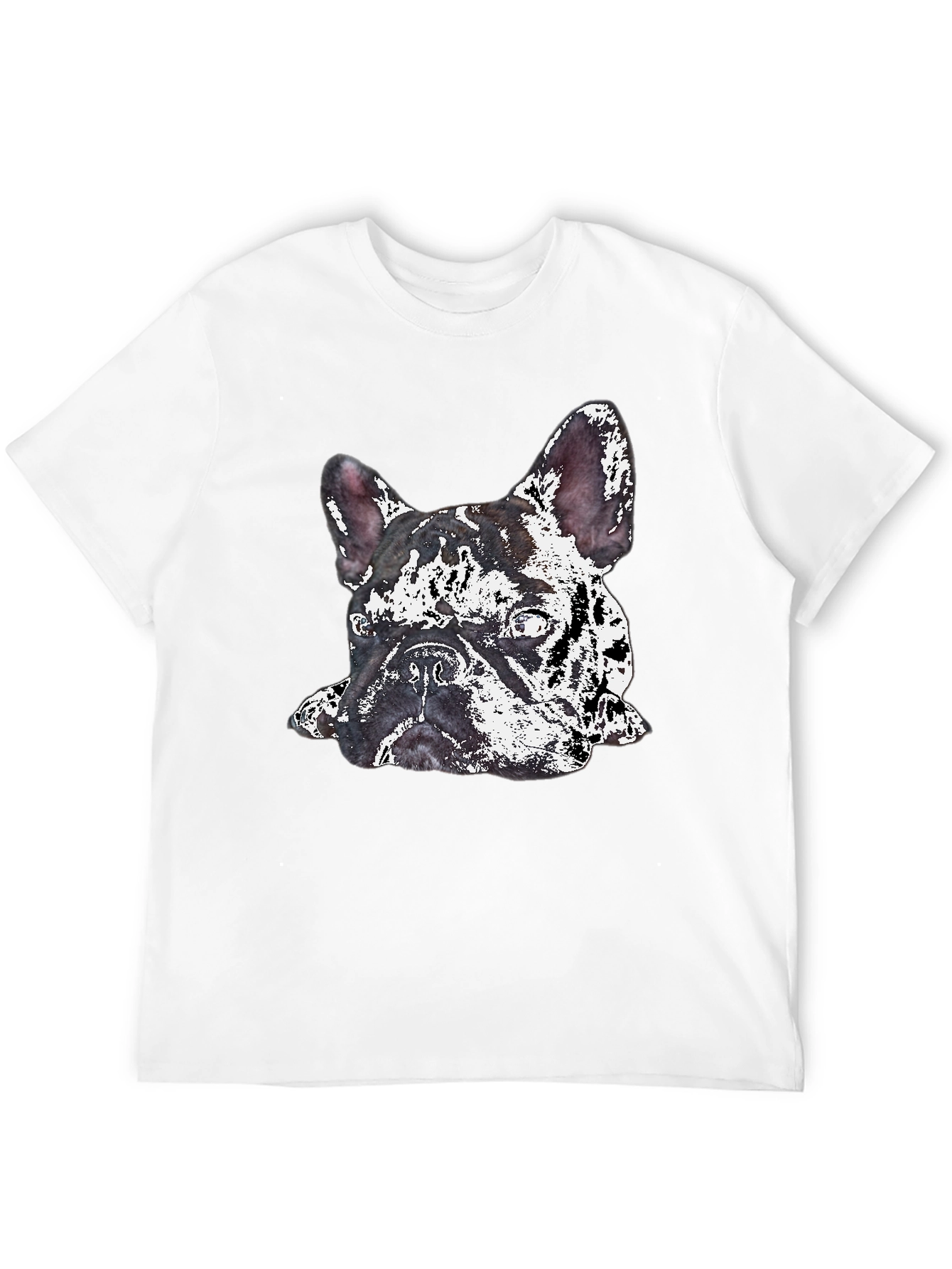 Black Dog Graphic Print Crew Neck T-Shirt view 12