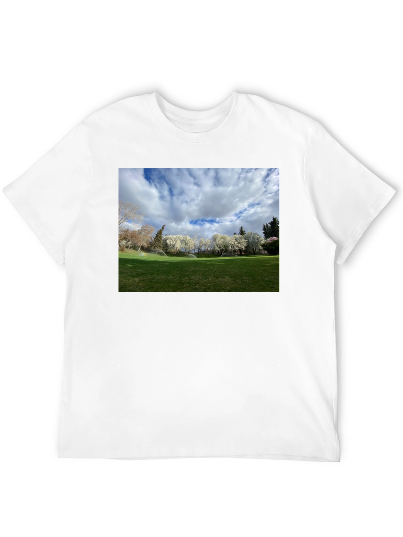 Black Scenic Landscape Graphic Tee - Cotton Comfort view 12