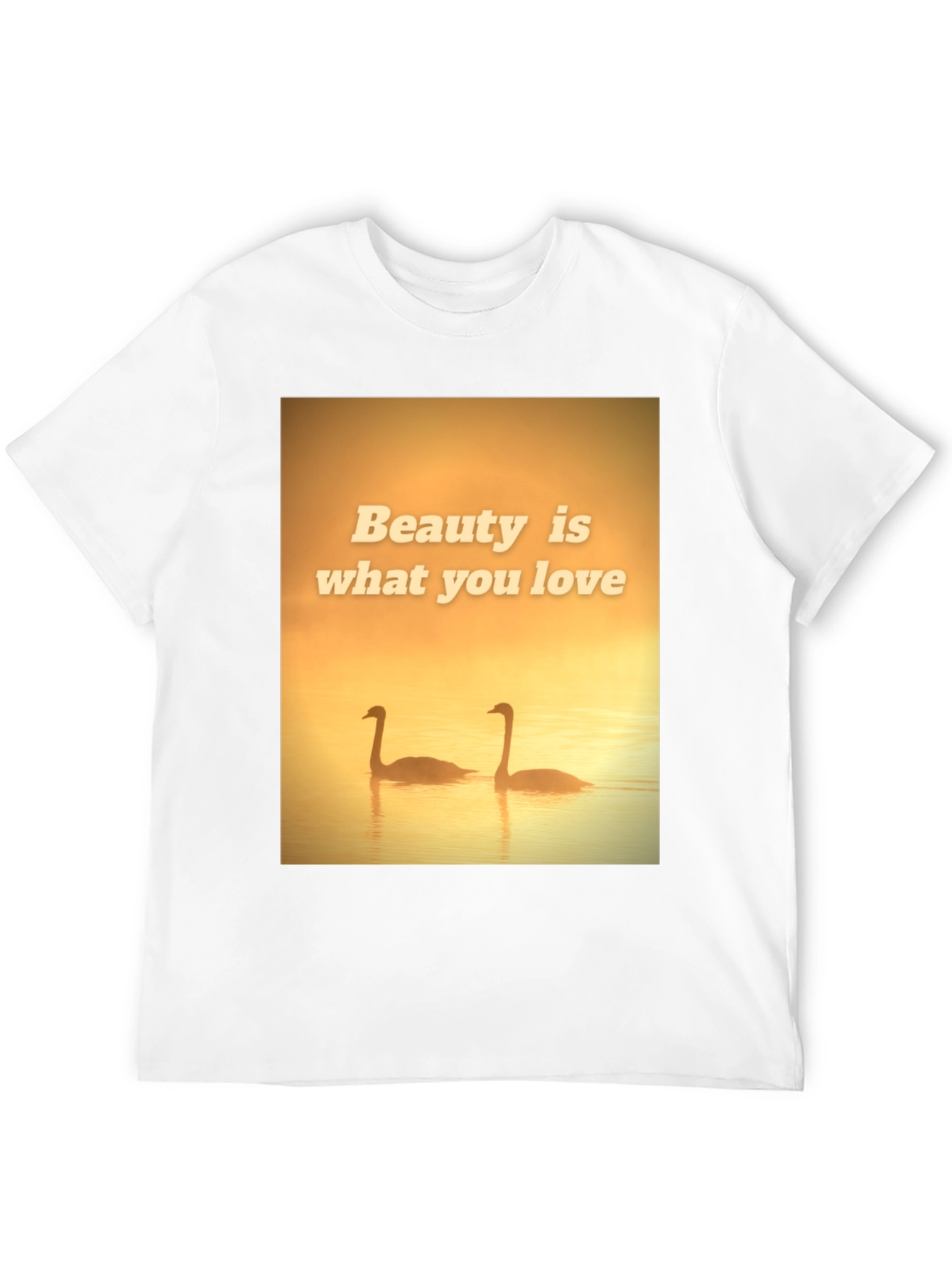 Black Beauty Swans Graphic T-Shirt view 12
