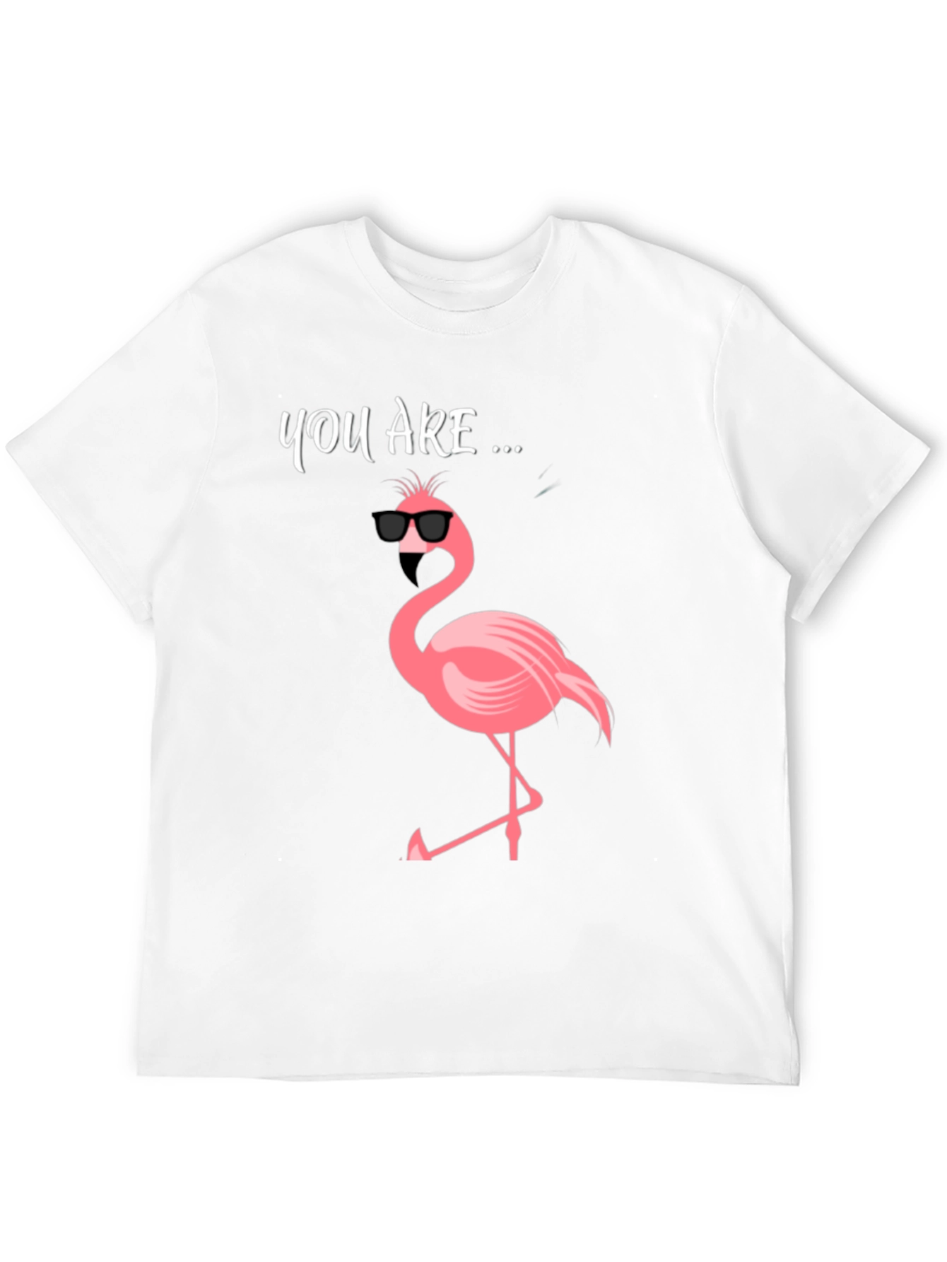 Black Cool Flamingo Graphic Tee - Men's Black T-Shirt view 12