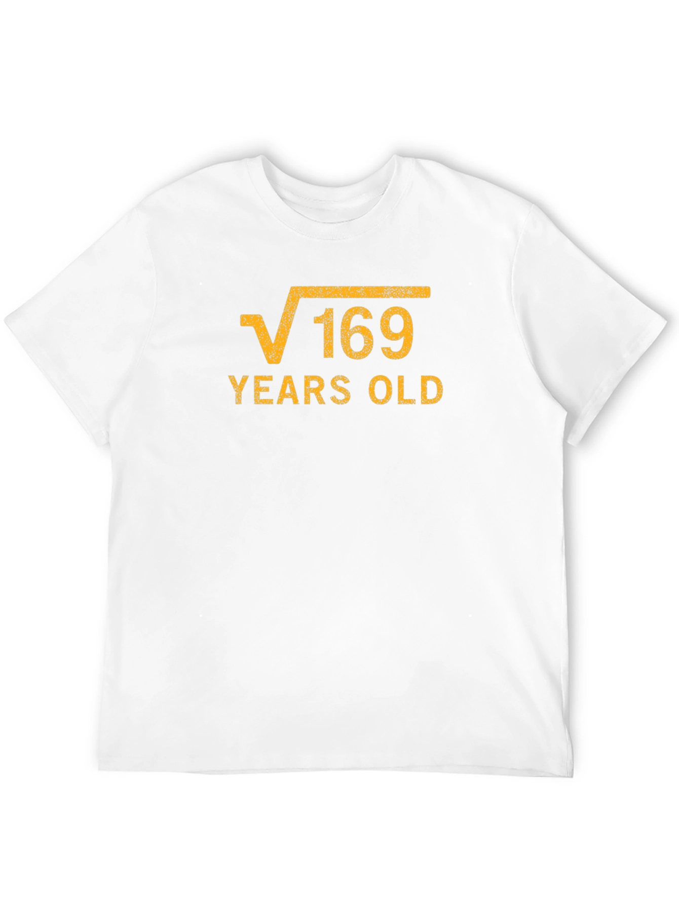 Black Funny 13th Birthday Square Root of 169 T-Shirt view 12