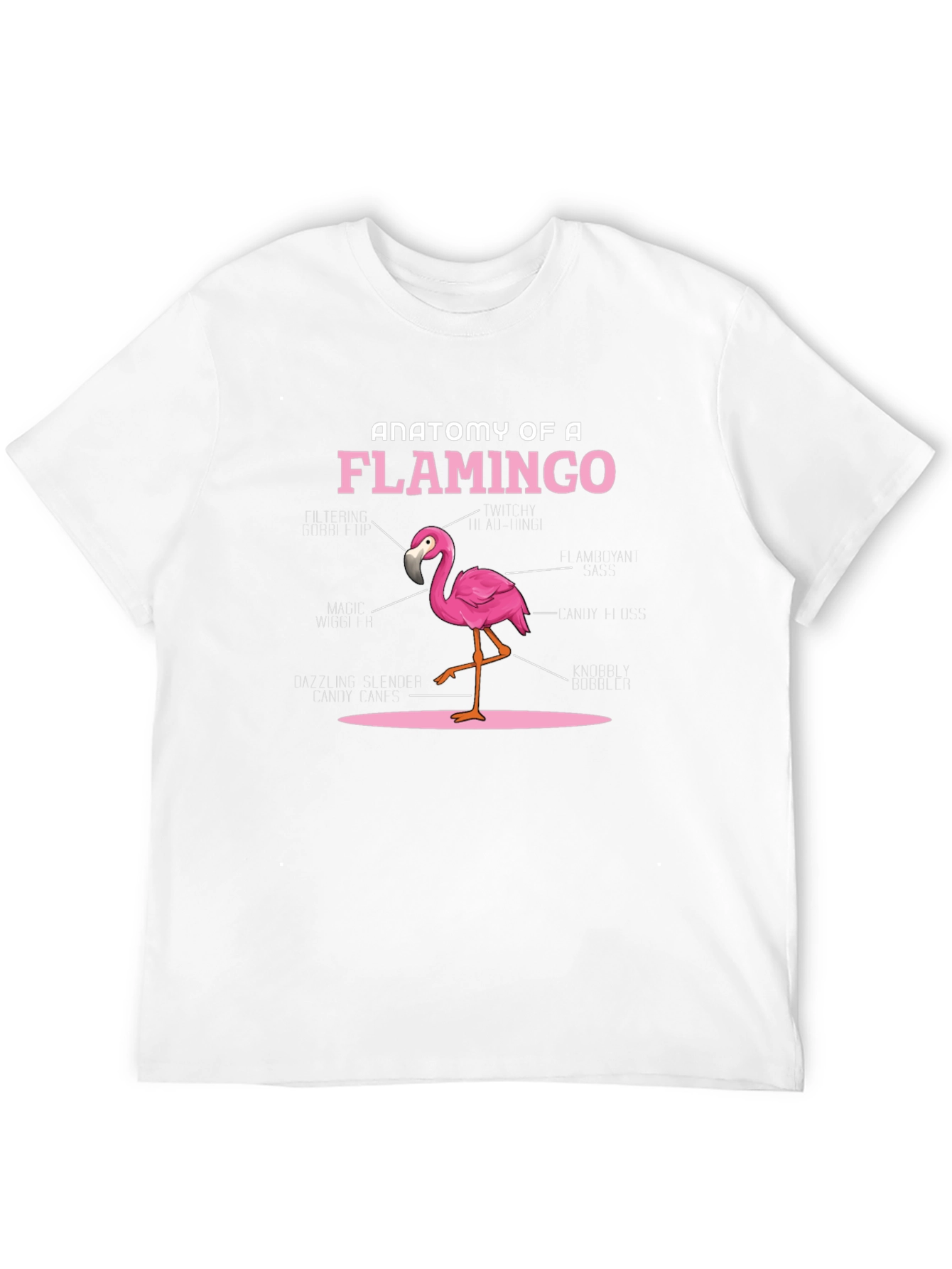 Black Anatomy of a Flamingo T-Shirt - Novelty Graphic Tee view 12