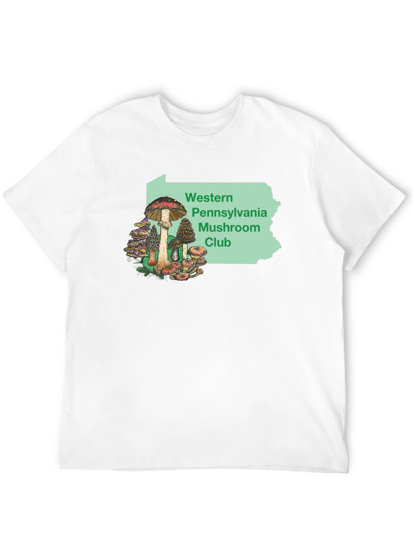 Black Western PA Mushroom Club T-Shirt view 12