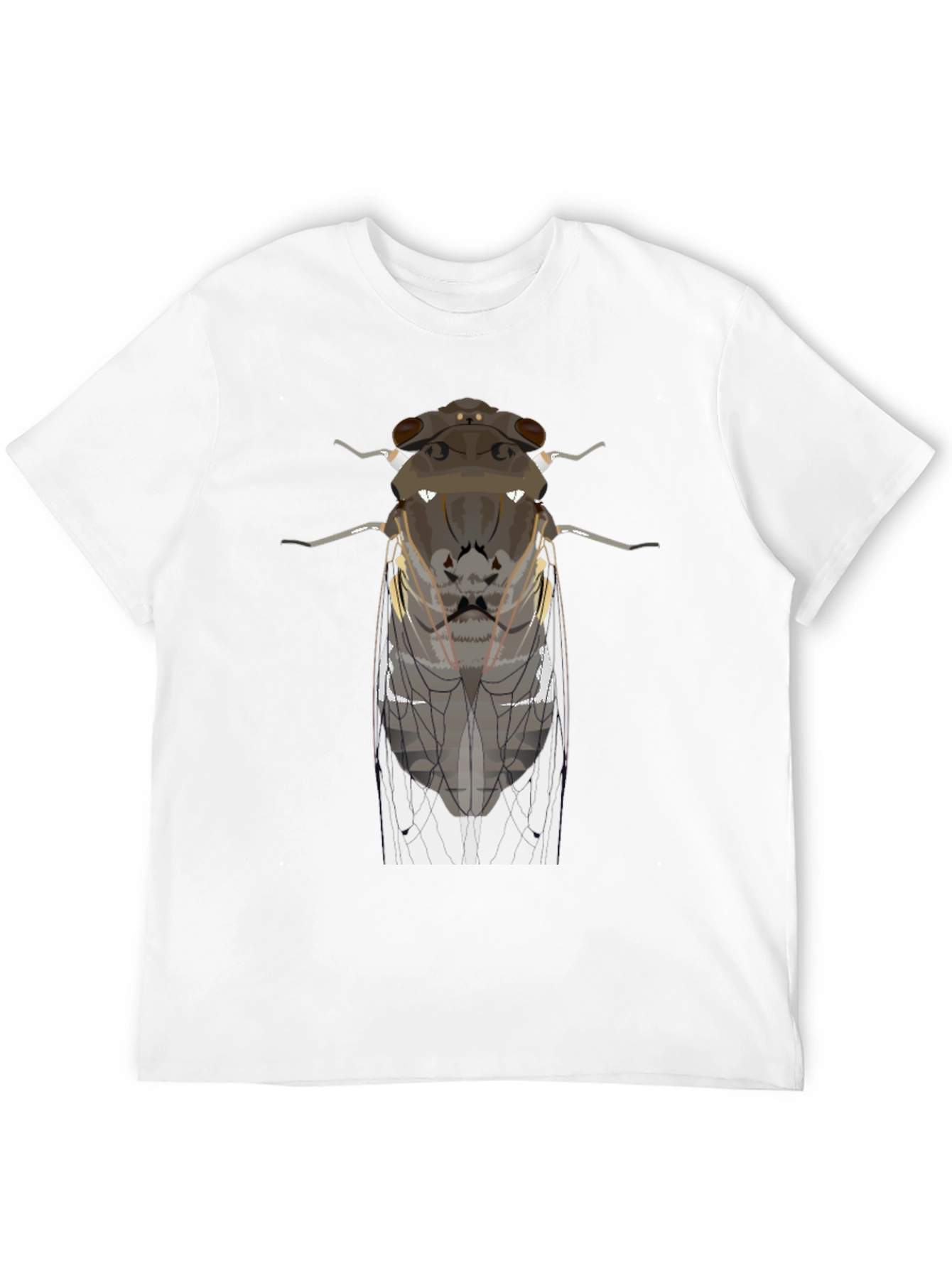 Black Cicada Graphic Tee - Entomologist Apparel view 12