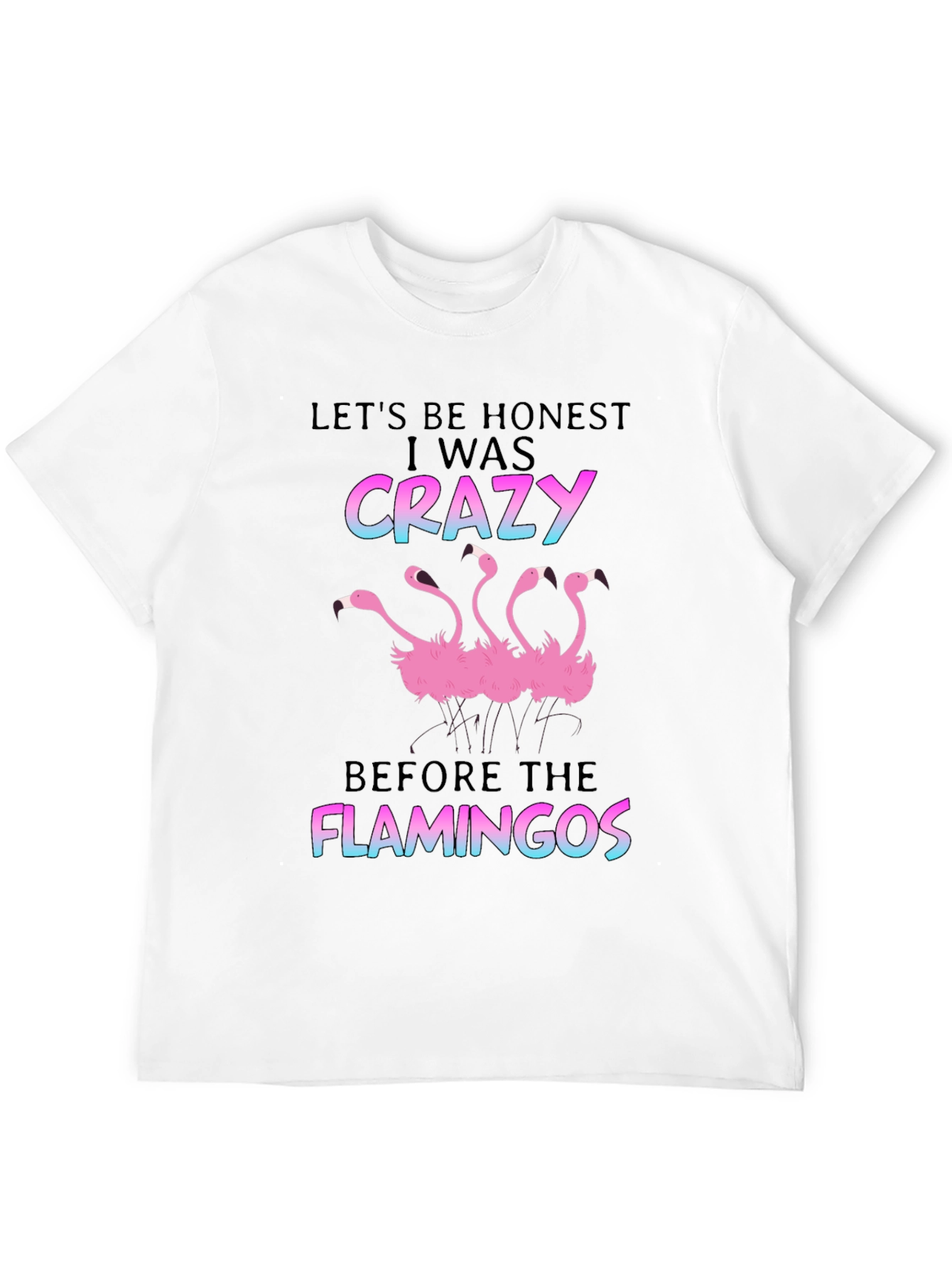 Black Crazy Before Flamingos T-Shirt - Black view 12