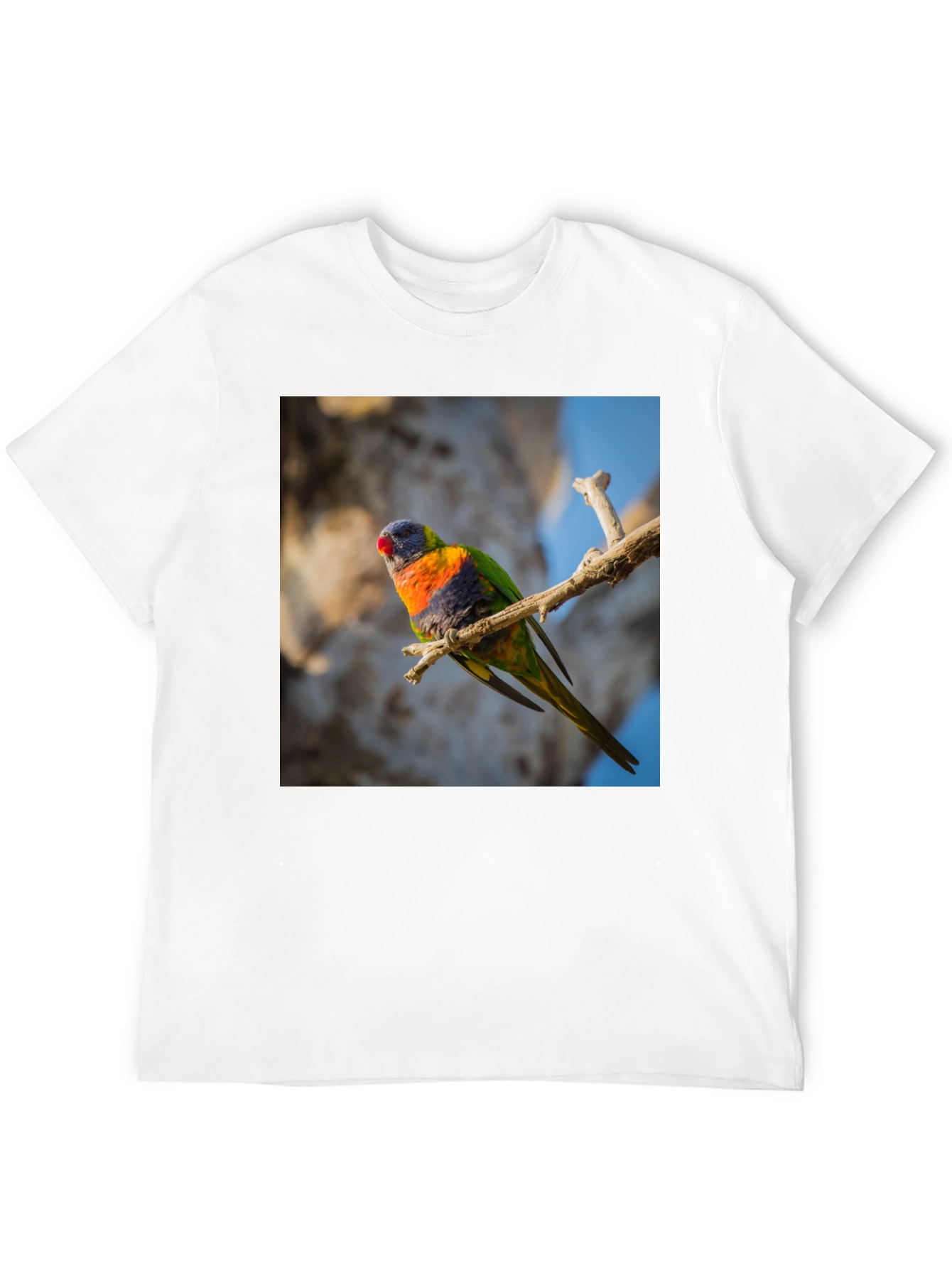 Black Rainbow Lorikeet T-Shirt - Nature Inspired Apparel view 12