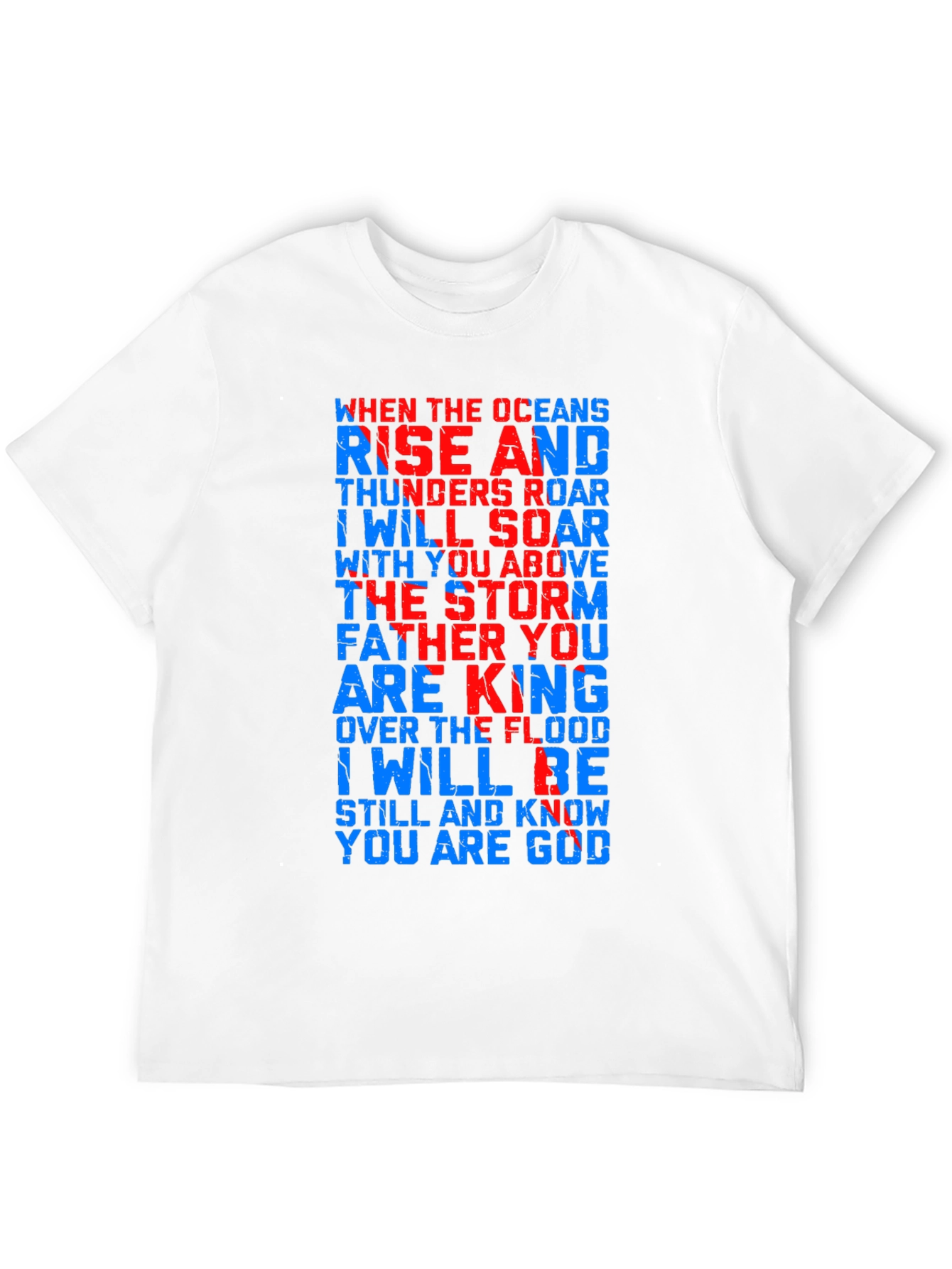 Black Rise & Roar Graphic Tee - Men's Black T-Shirt view 12