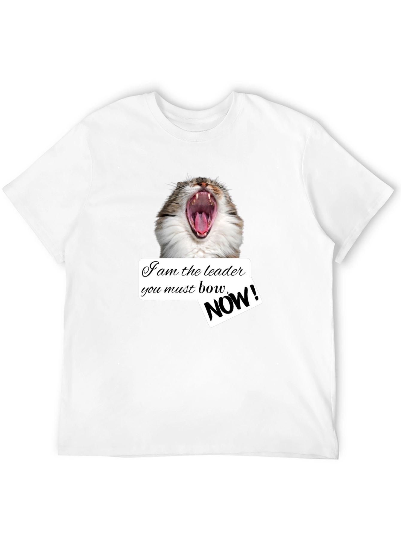 Black Funny Cat T-Shirt - I am the Leader Bow NOW! - Black view 12