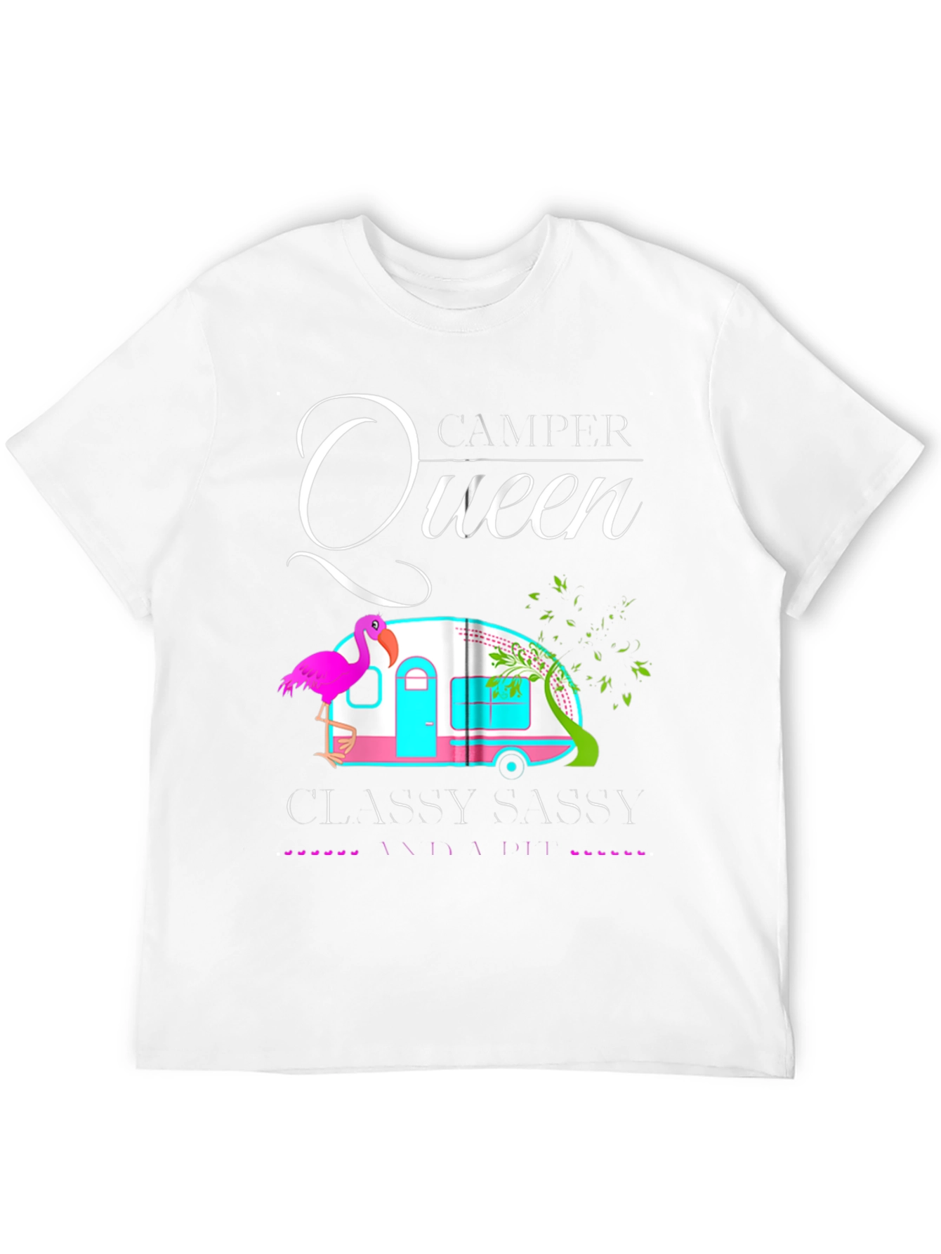 Black Camper Queen T-Shirt - Classy Sassy and a Bit Smart Assy! view 12