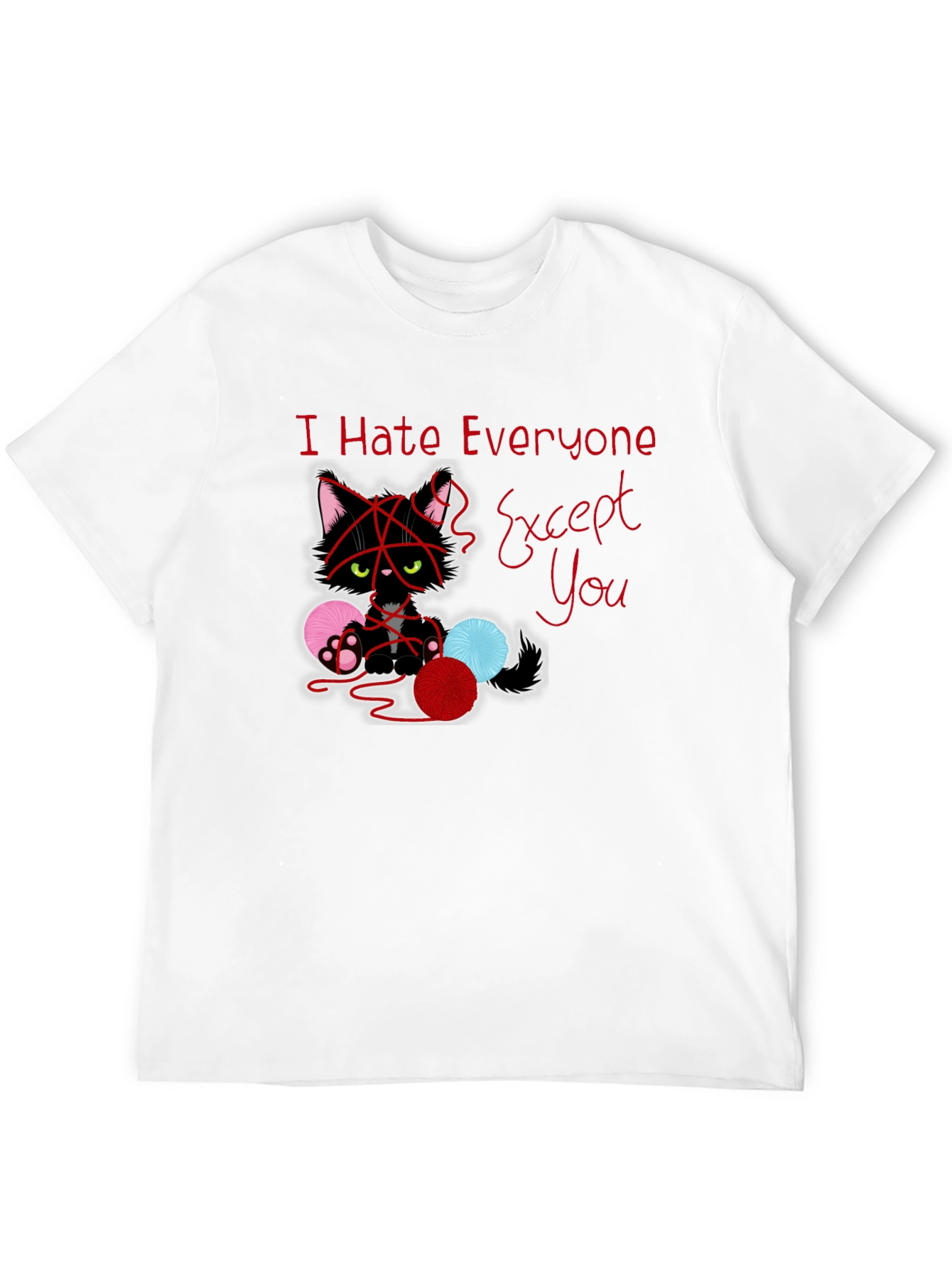 Black I Hate Everyone Except You Cat T-Shirt view 12