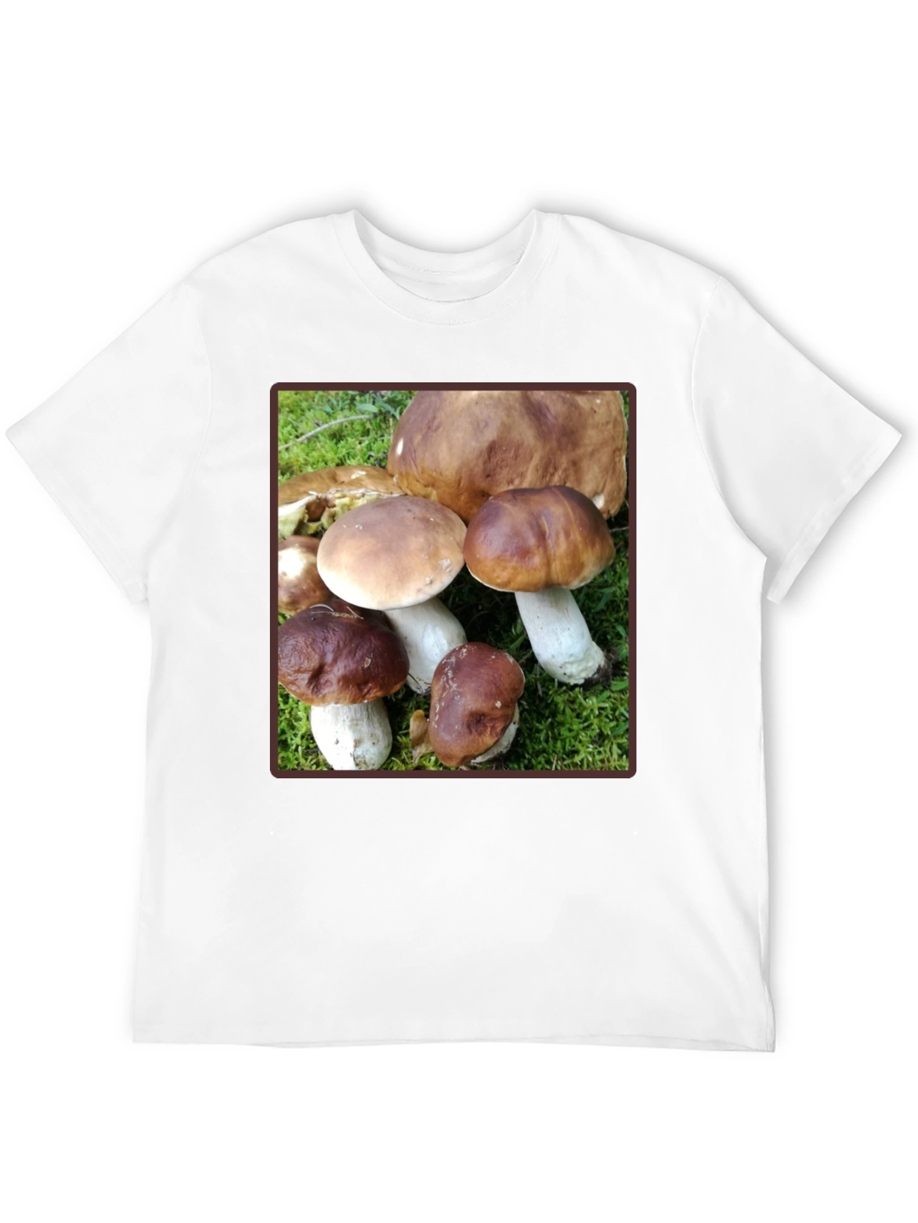 Black Mushroom Graphic T-Shirt - Forest Fungi Tee view 12