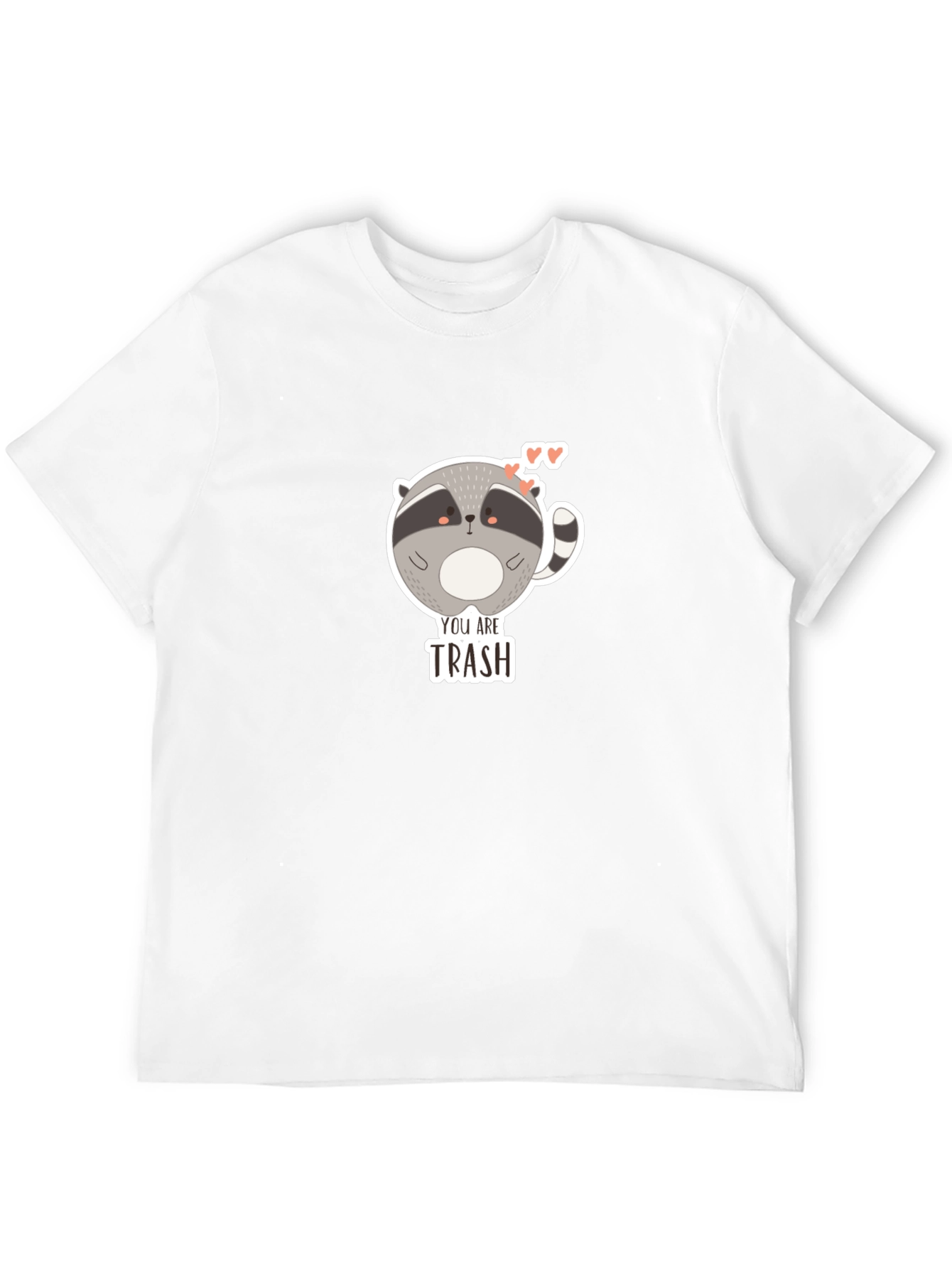 Black You Are Trash Raccoon Graphic T-Shirt view 12