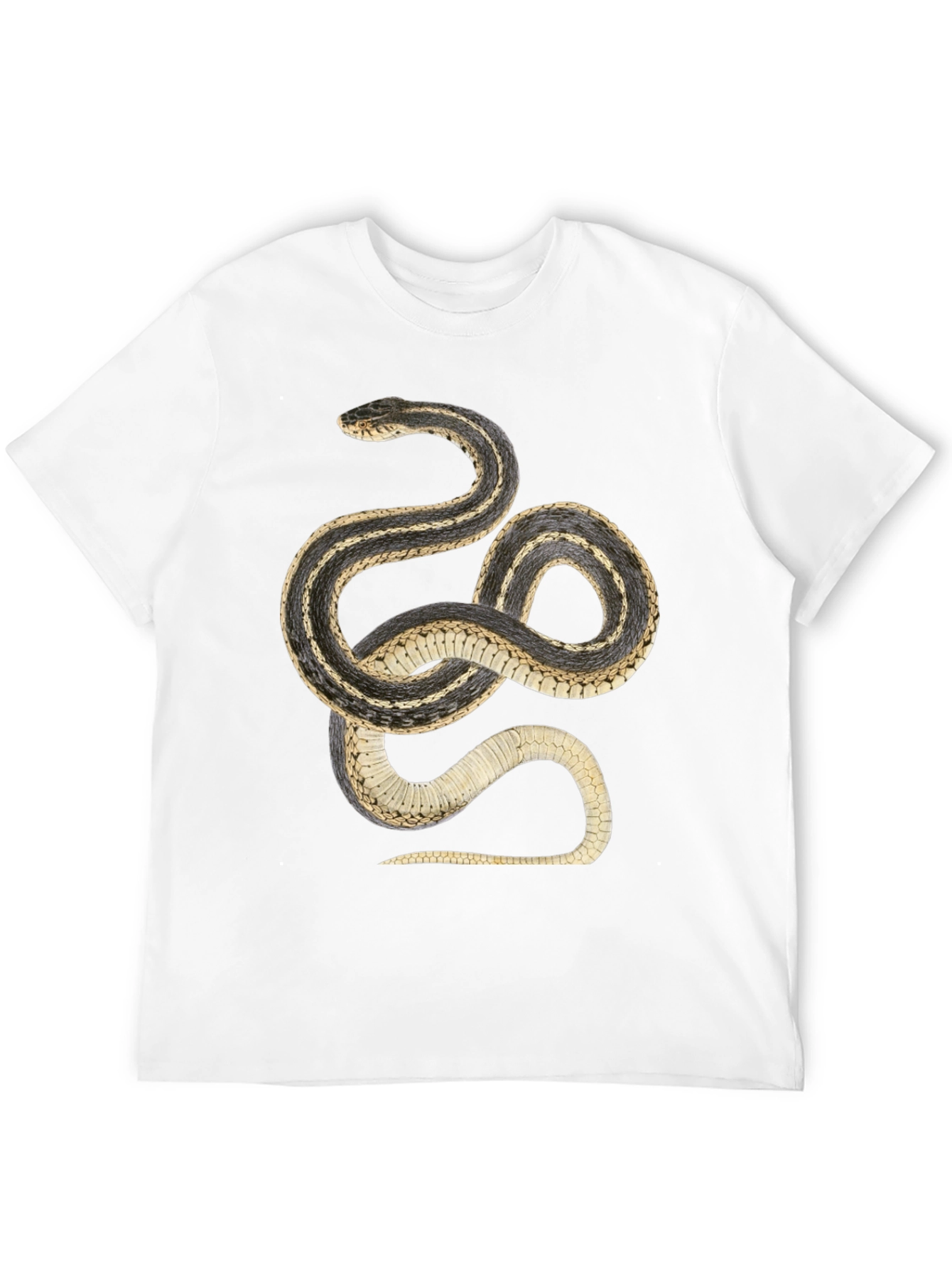 Black Snake Graphic T-Shirt - Black Cotton Tee view 12