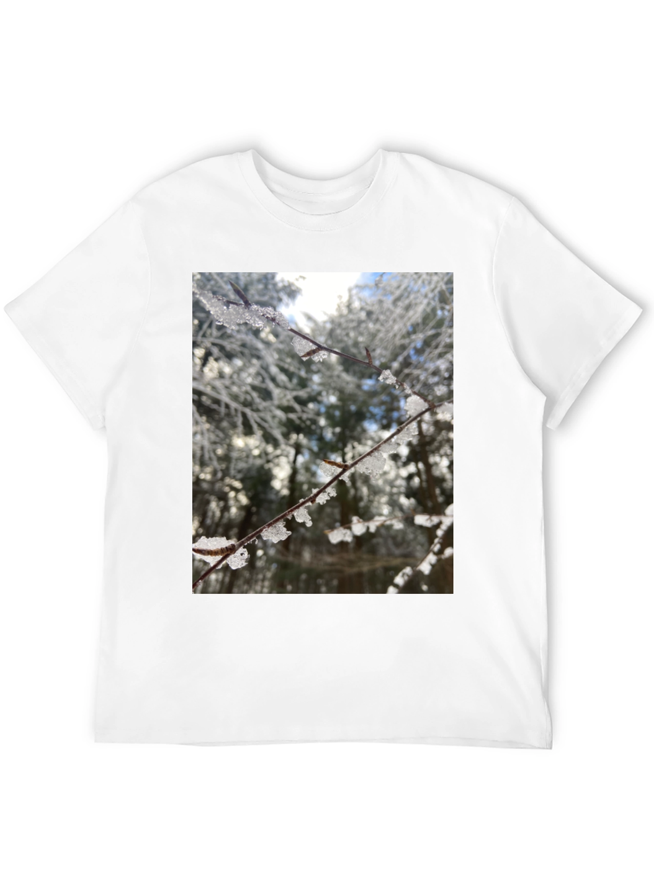 Black Winter Branch Graphic Tee - Nature Inspired Design view 12