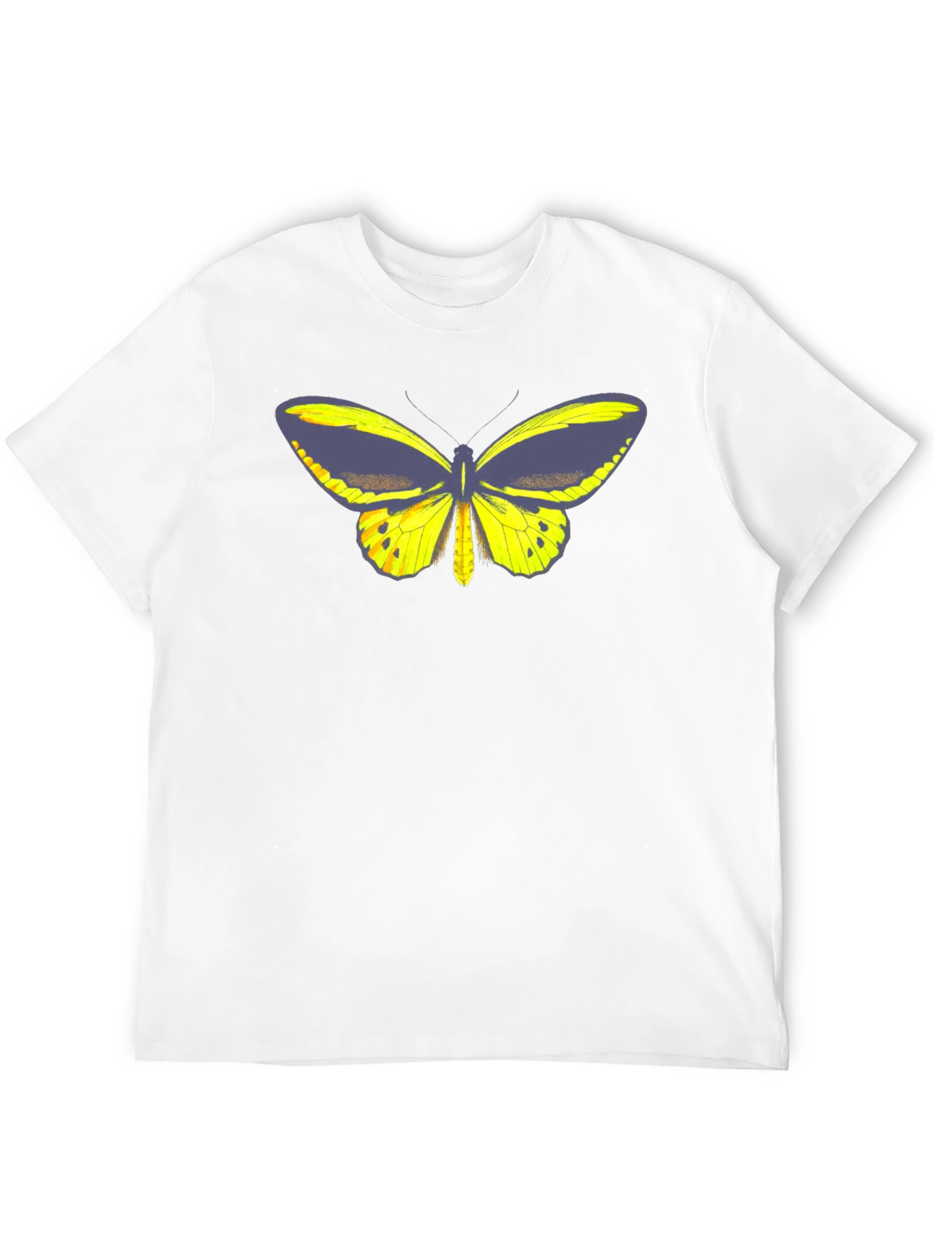 Black Butterfly Graphic Tee - Black Cotton Casual T-Shirt view 12