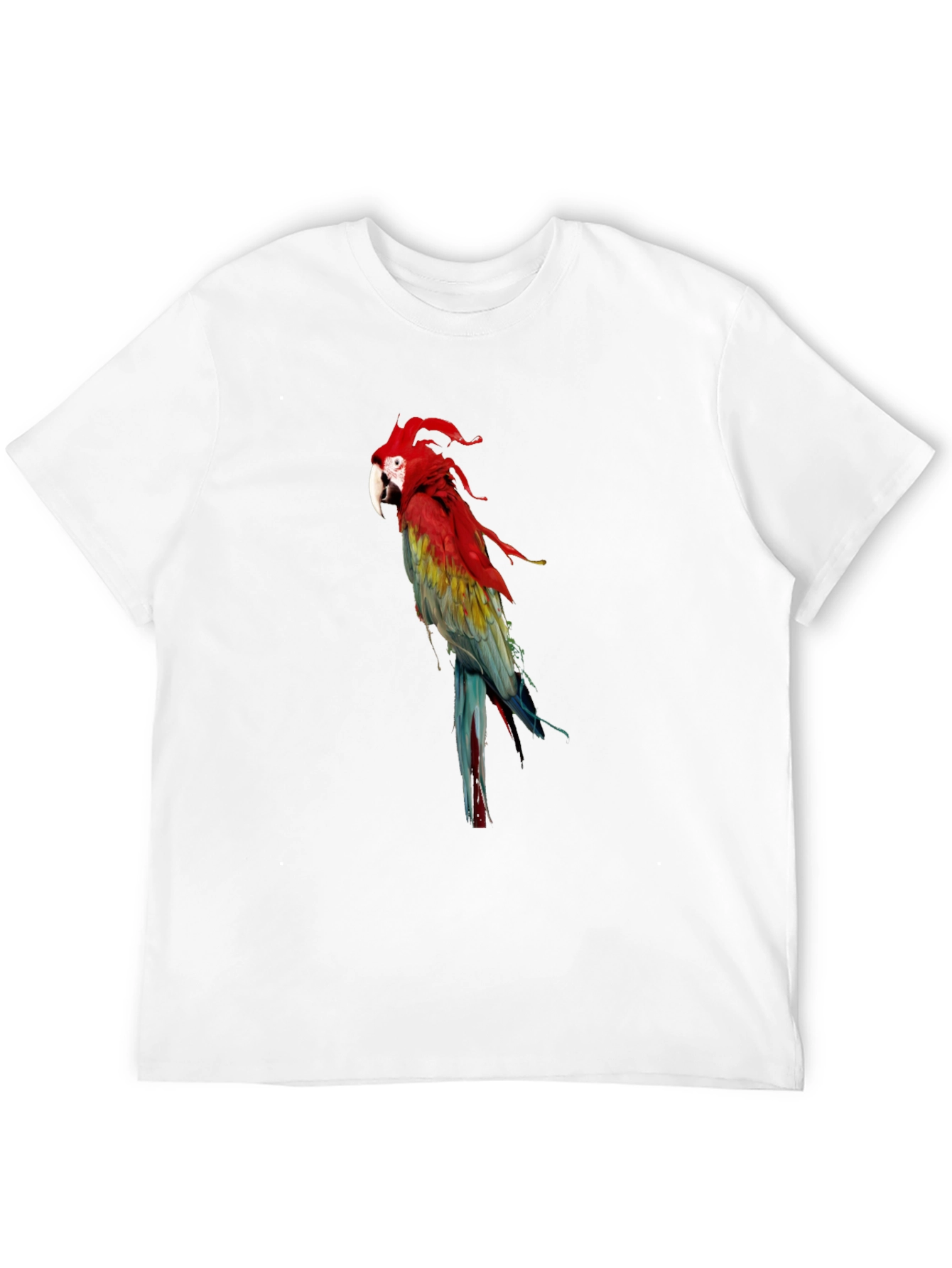 Black Parrot Graphic Tee - Vivid Bird Print T-Shirt view 12