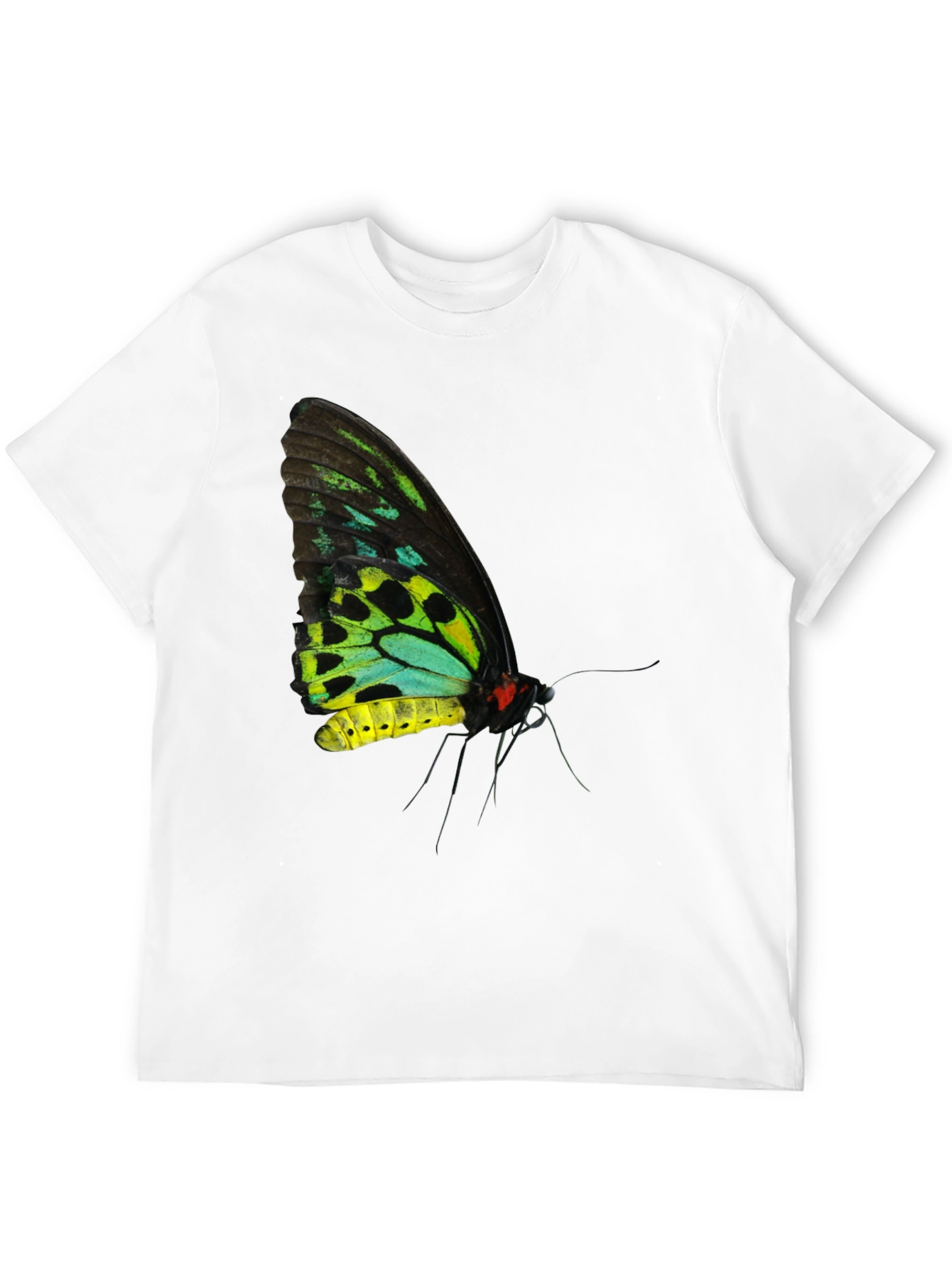 Black Butterfly Graphic Black T-Shirt view 12
