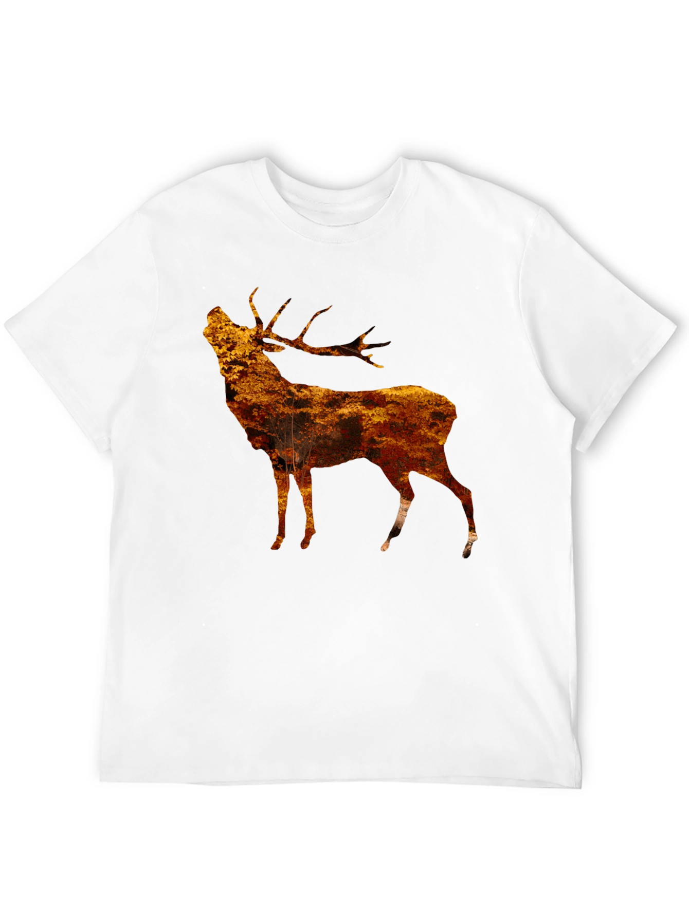 Black Rustic Stag Graphic Tee - Black view 12
