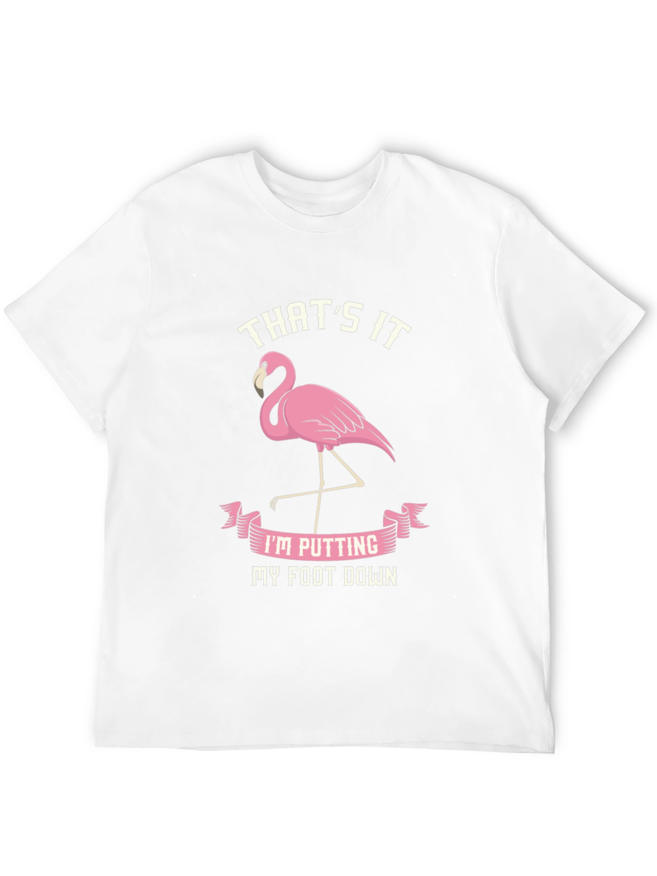 Black Funny Flamingo T-Shirt - That's It, My Foot Down view 12