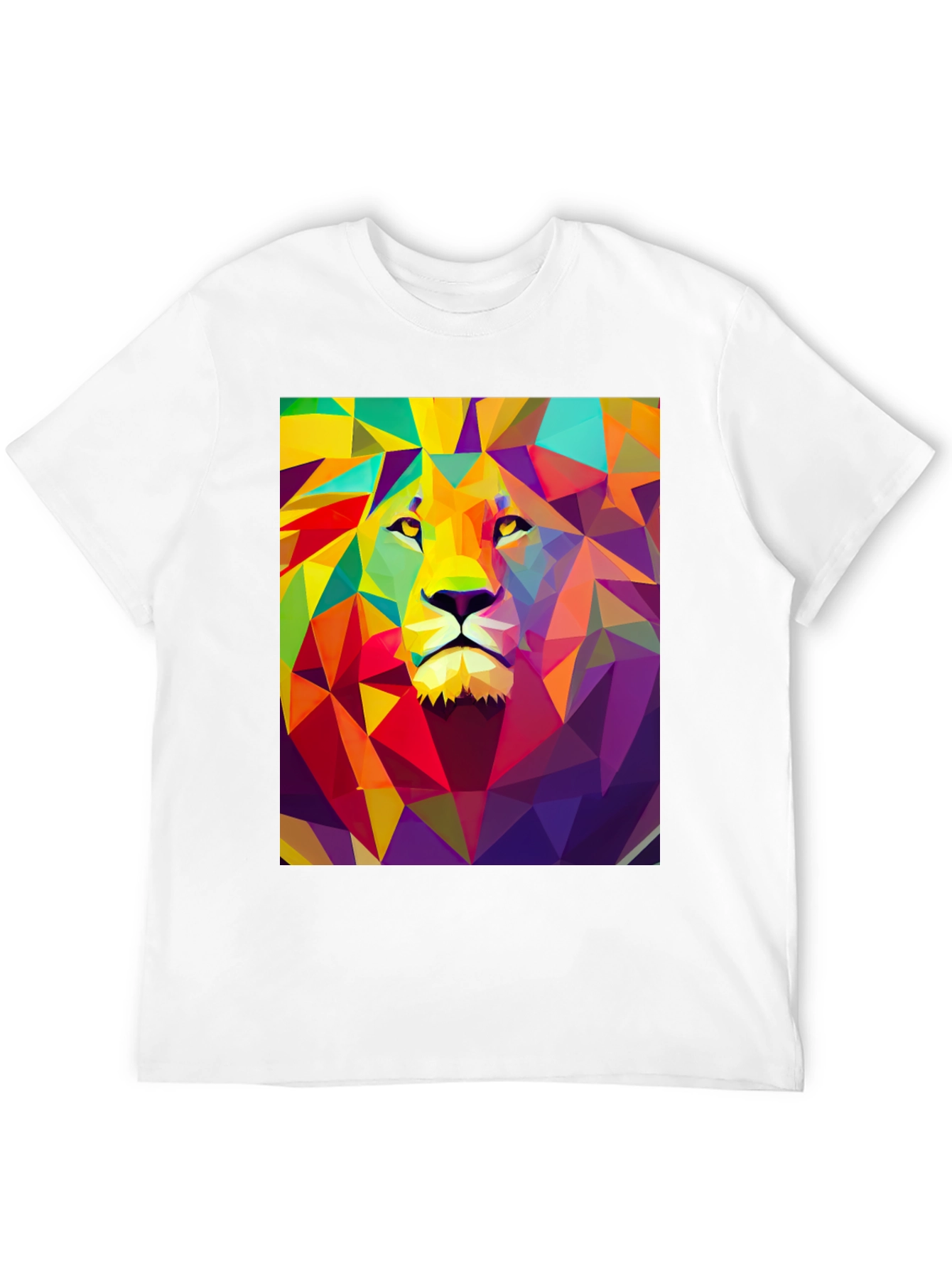 Black Geometric Lion Graphic Tee - Black Cotton Comfort view 12