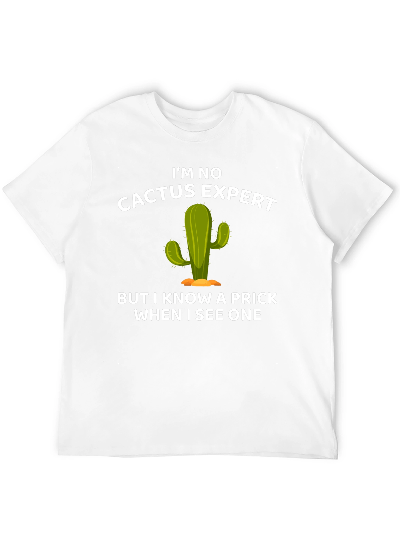Black Funny Cactus Expert Graphic T-Shirt view 12