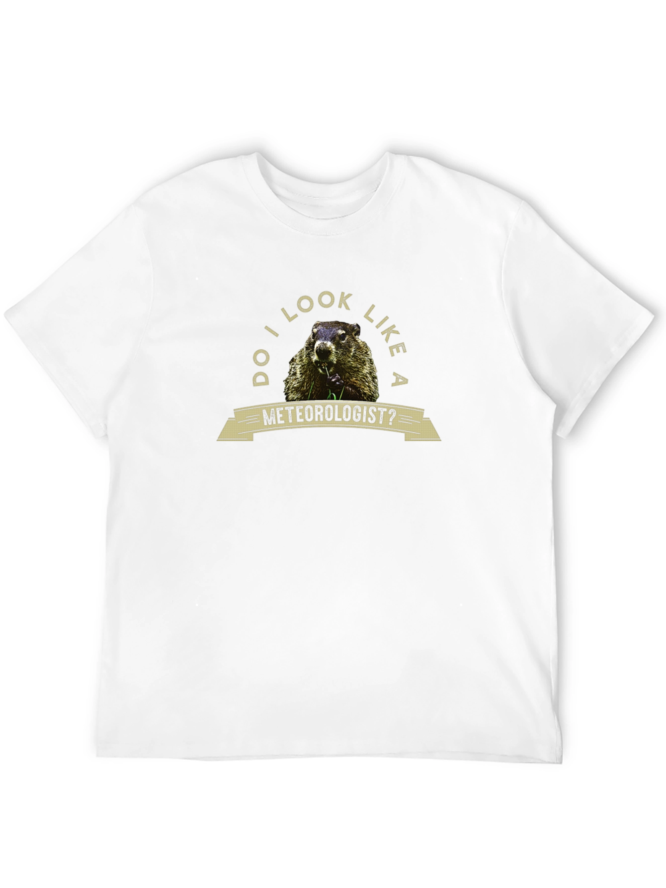 Black Funny Groundhog Meteorologist Graphic Tee view 12