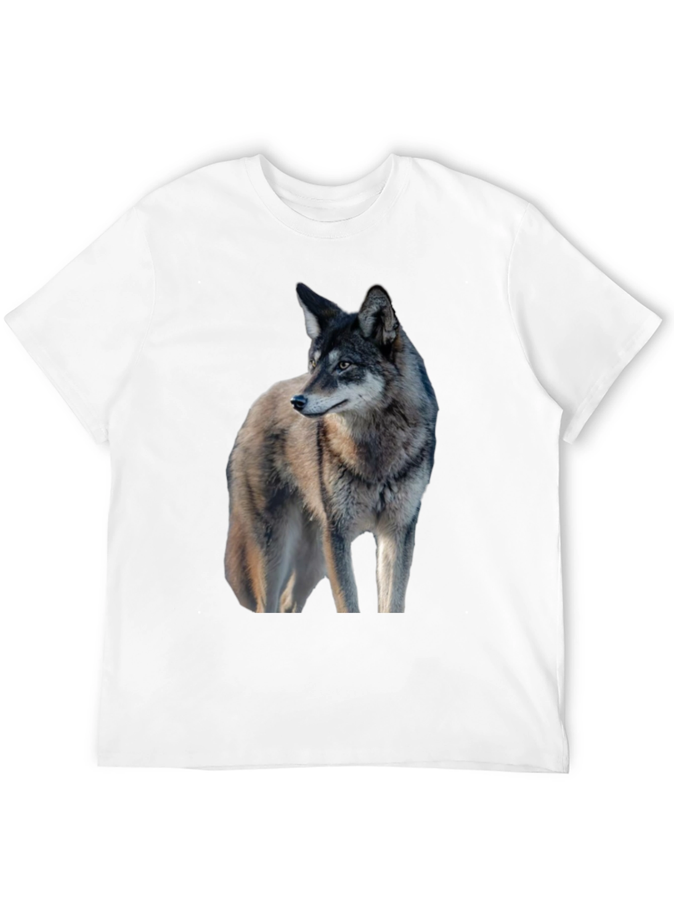Black Wolf Graphic Black T-Shirt view 12