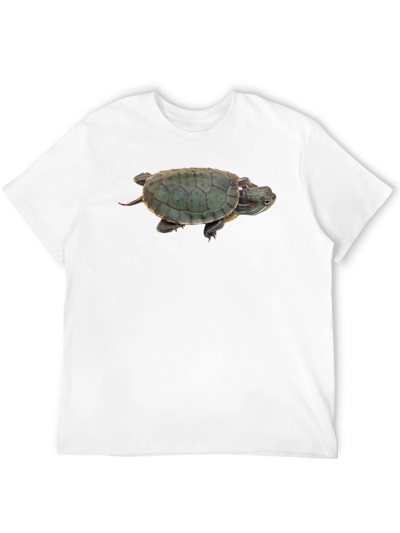 Black Turtle Graphic Black T-Shirt view 12