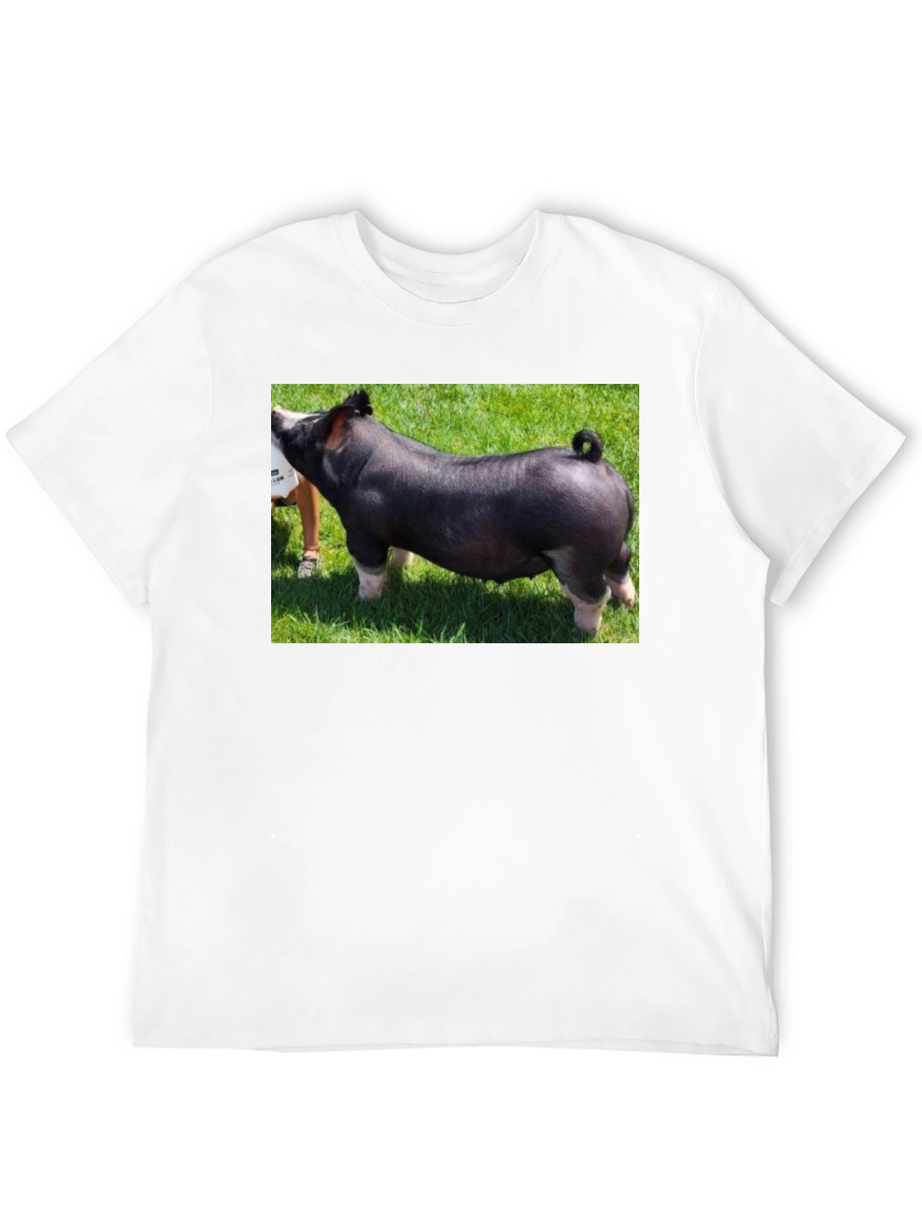 Black Black T-Shirt with Pig Graphic Tee view 12