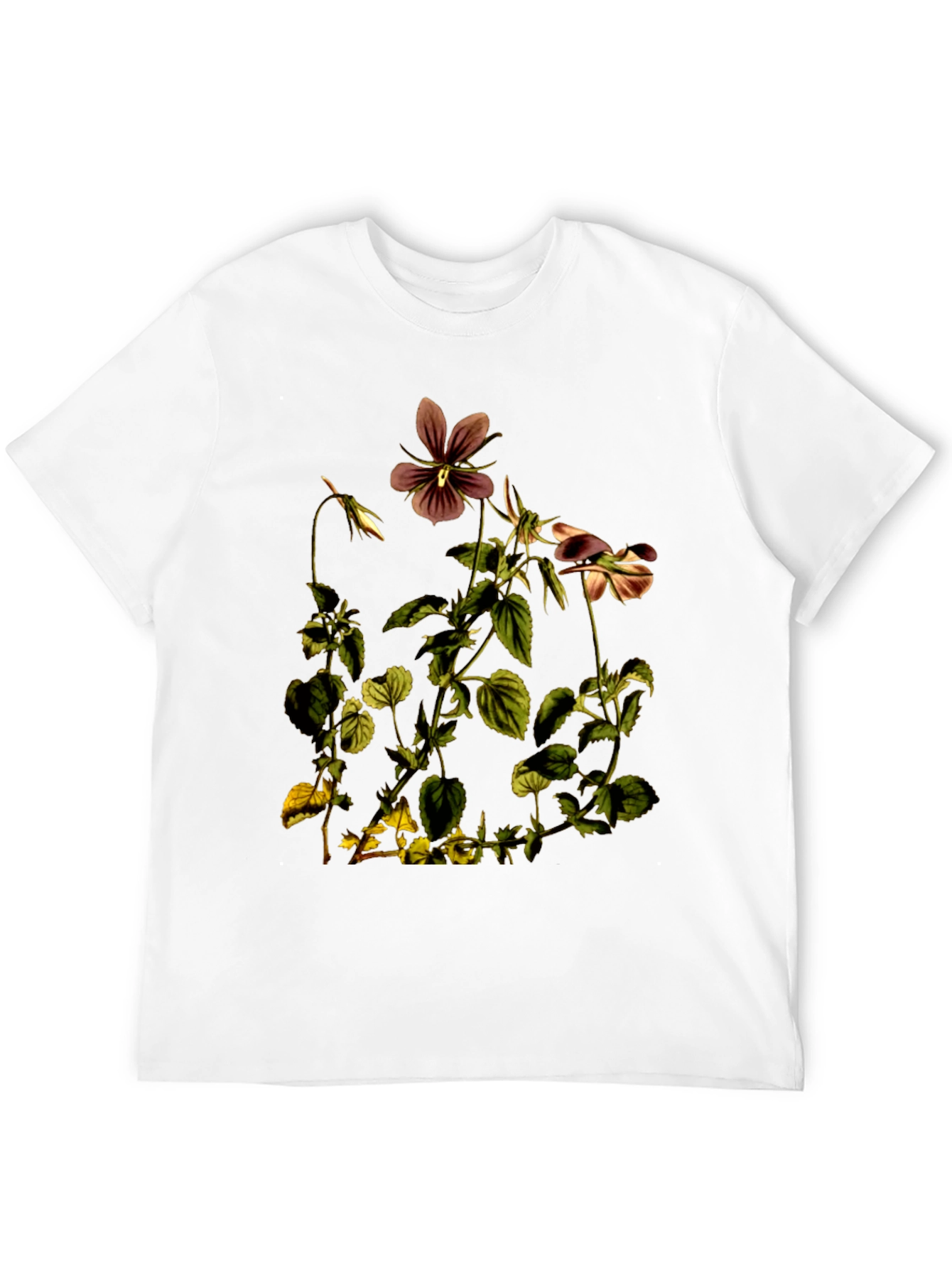 Black Botanical Flower Graphic Print T-Shirt view 12