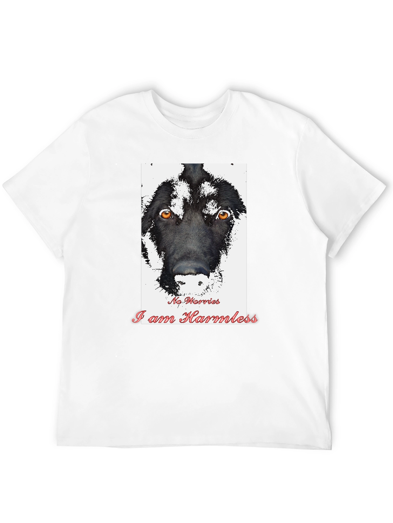 Black Harmless Dog Graphic T-Shirt view 12