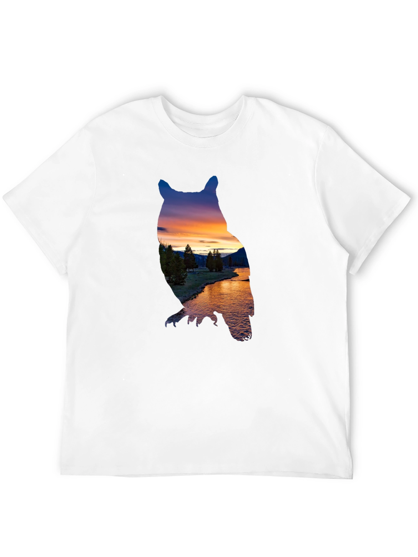 Black Owl Sunset Graphic Tee view 12