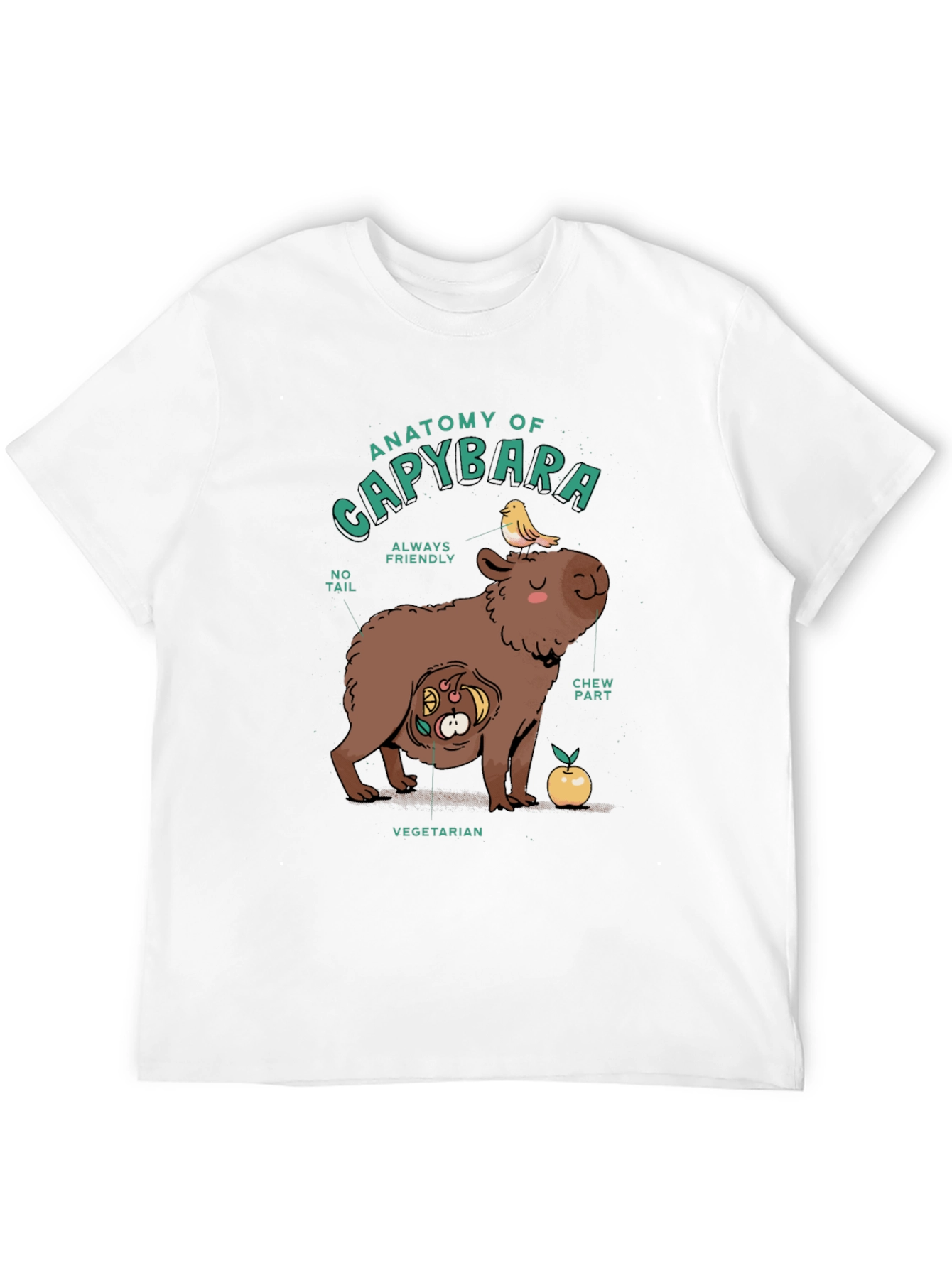 Black Anatomy of a Capybara Graphic T-Shirt view 12