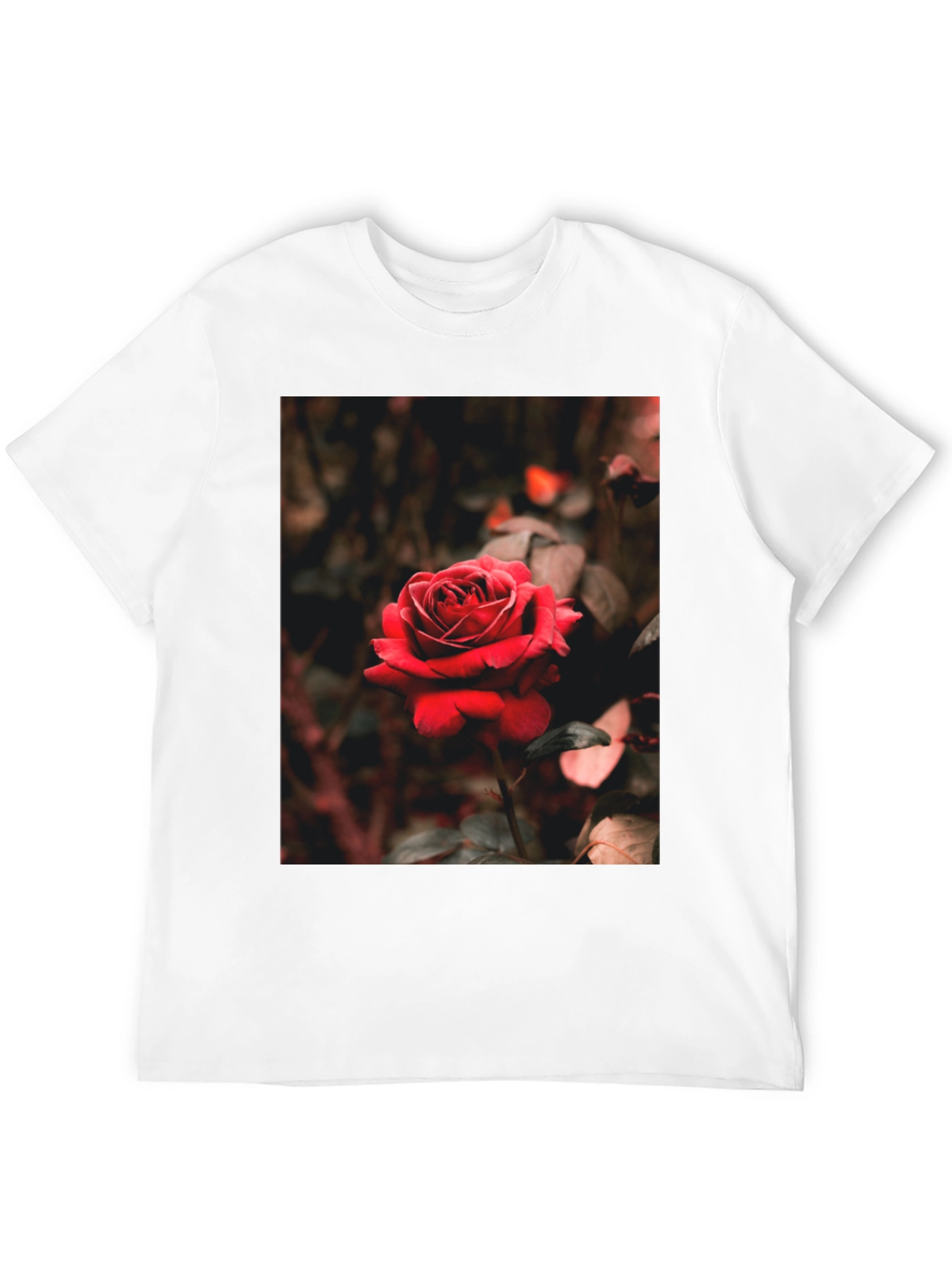 Black Rose Graphic Tee - Black Cotton T-Shirt view 12