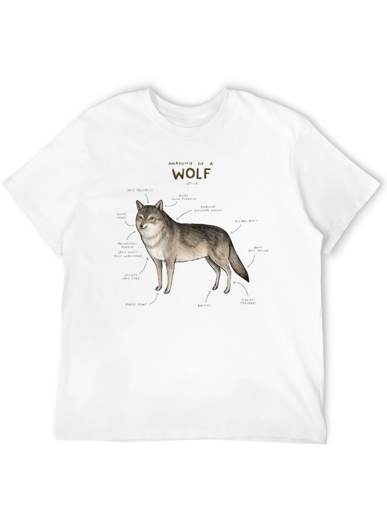 Black Anatomy of a Wolf Graphic T-Shirt view 12