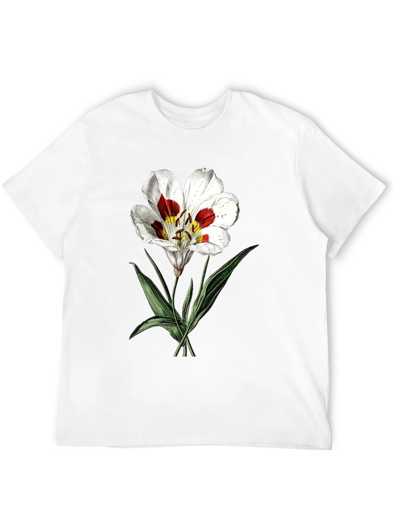 Black Botanical Lily Graphic Tee - Black view 12