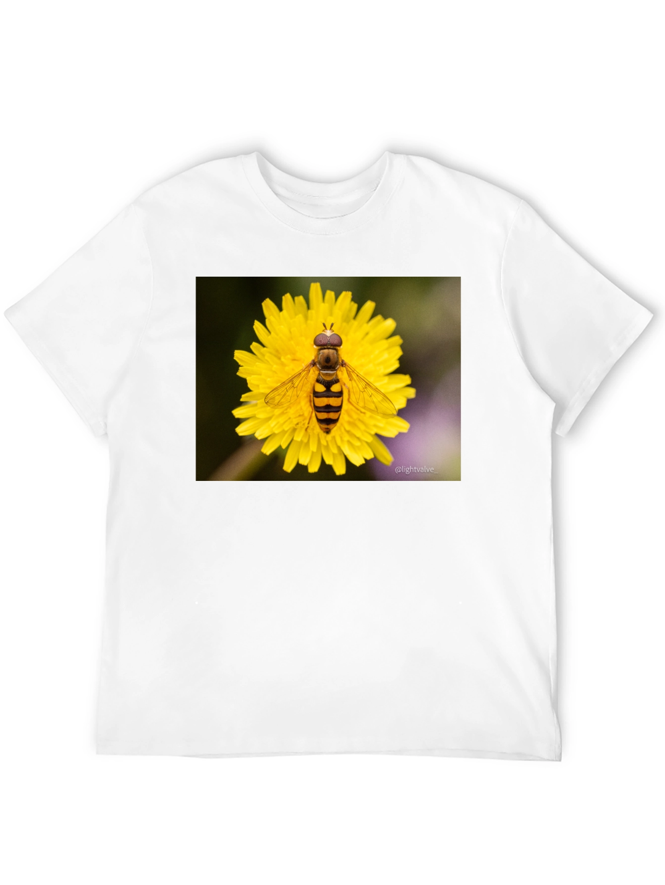 Black Bee on Flower Graphic Tee - Black Cotton T-Shirt view 12
