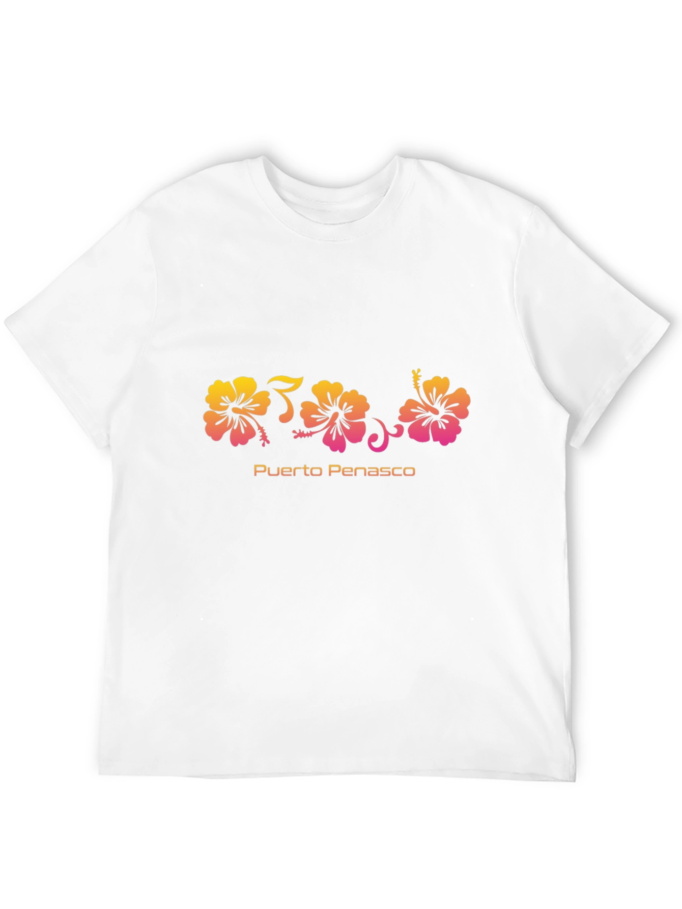 Black Puerto Penasco Hibiscus Flower Graphic Tee view 12