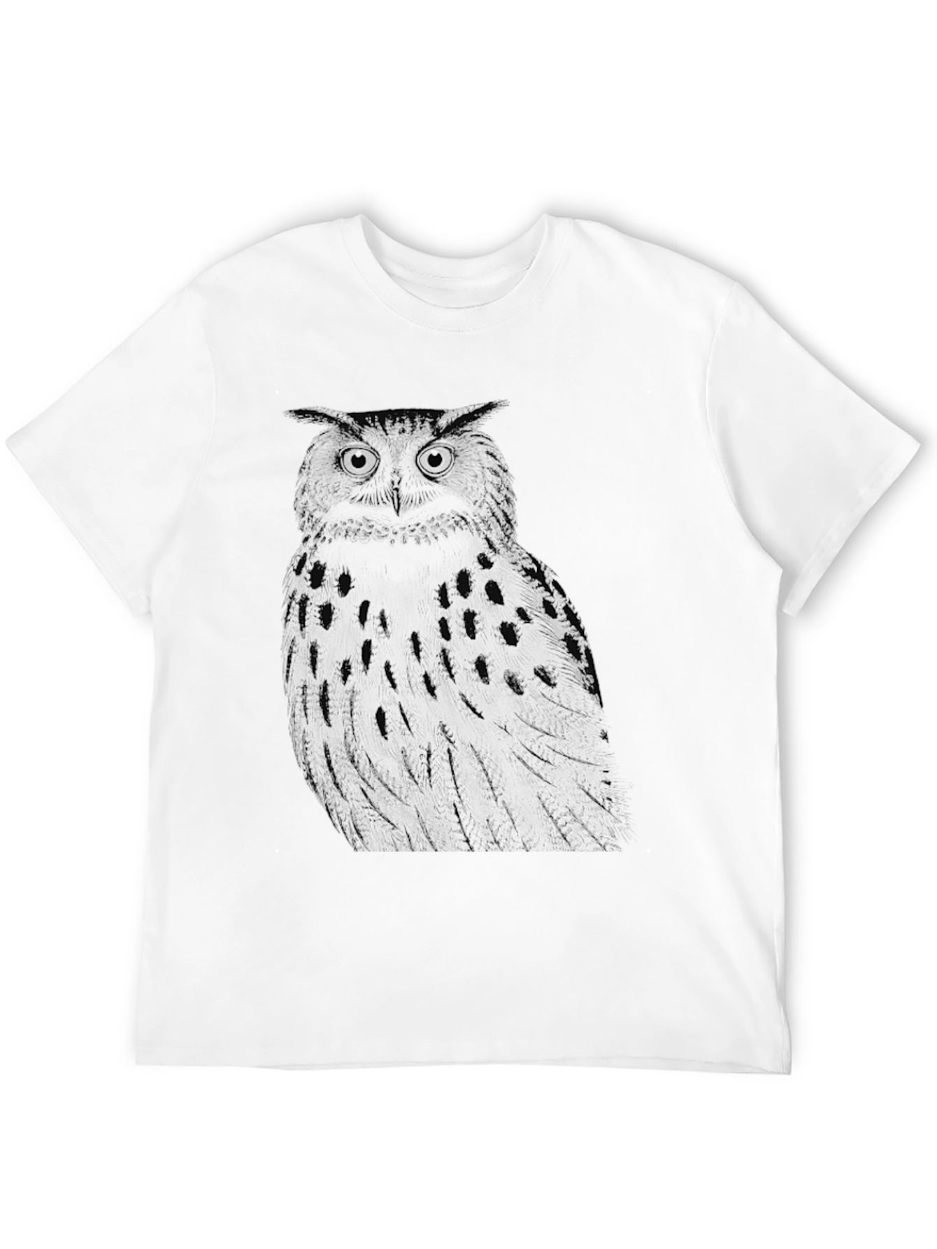 Black Owl Graphic Print Black T-Shirt view 12
