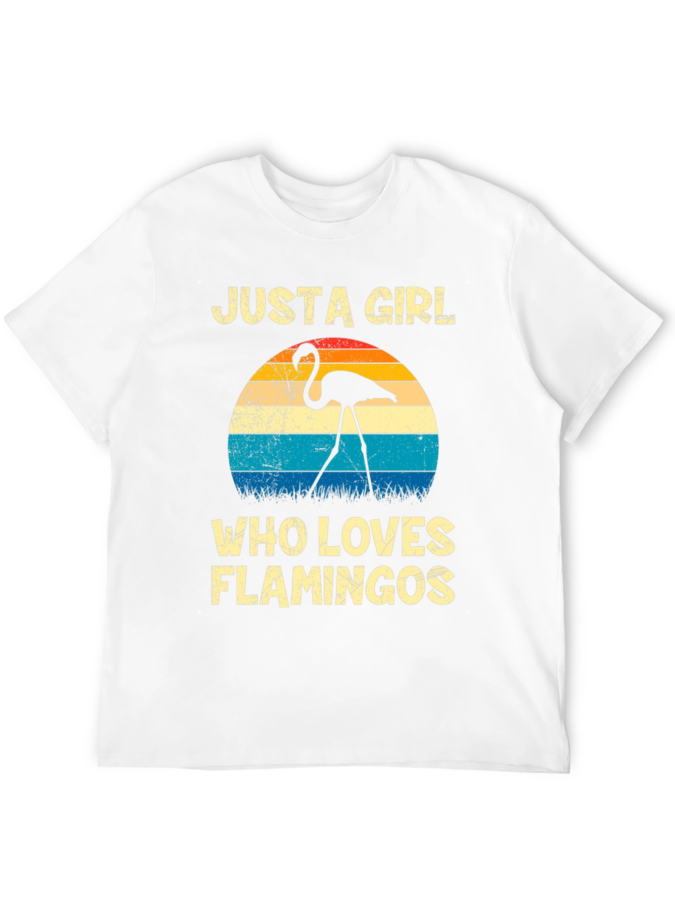 Black Just A Girl Who Loves Flamingos Graphic Tee view 12