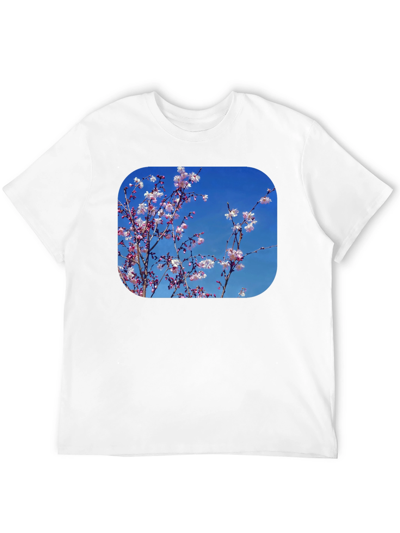 Black Blossom Tee - Black Cotton Blend with Floral Print view 12