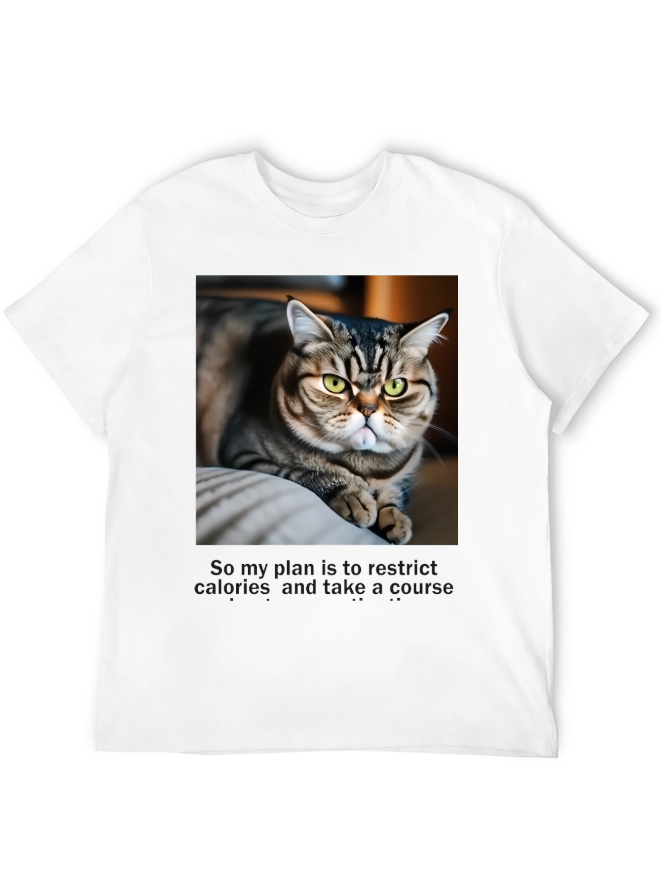 Black Funny Cat Graphic T-Shirt - Unisex Black Tee view 12