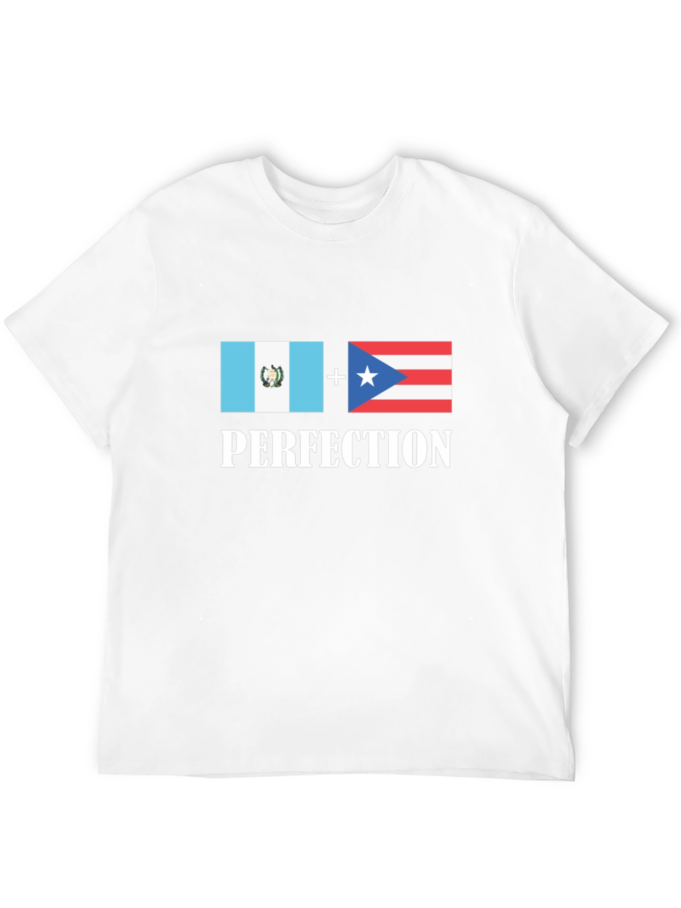 Black Guatemala Puerto Rico Perfection T-Shirt view 12